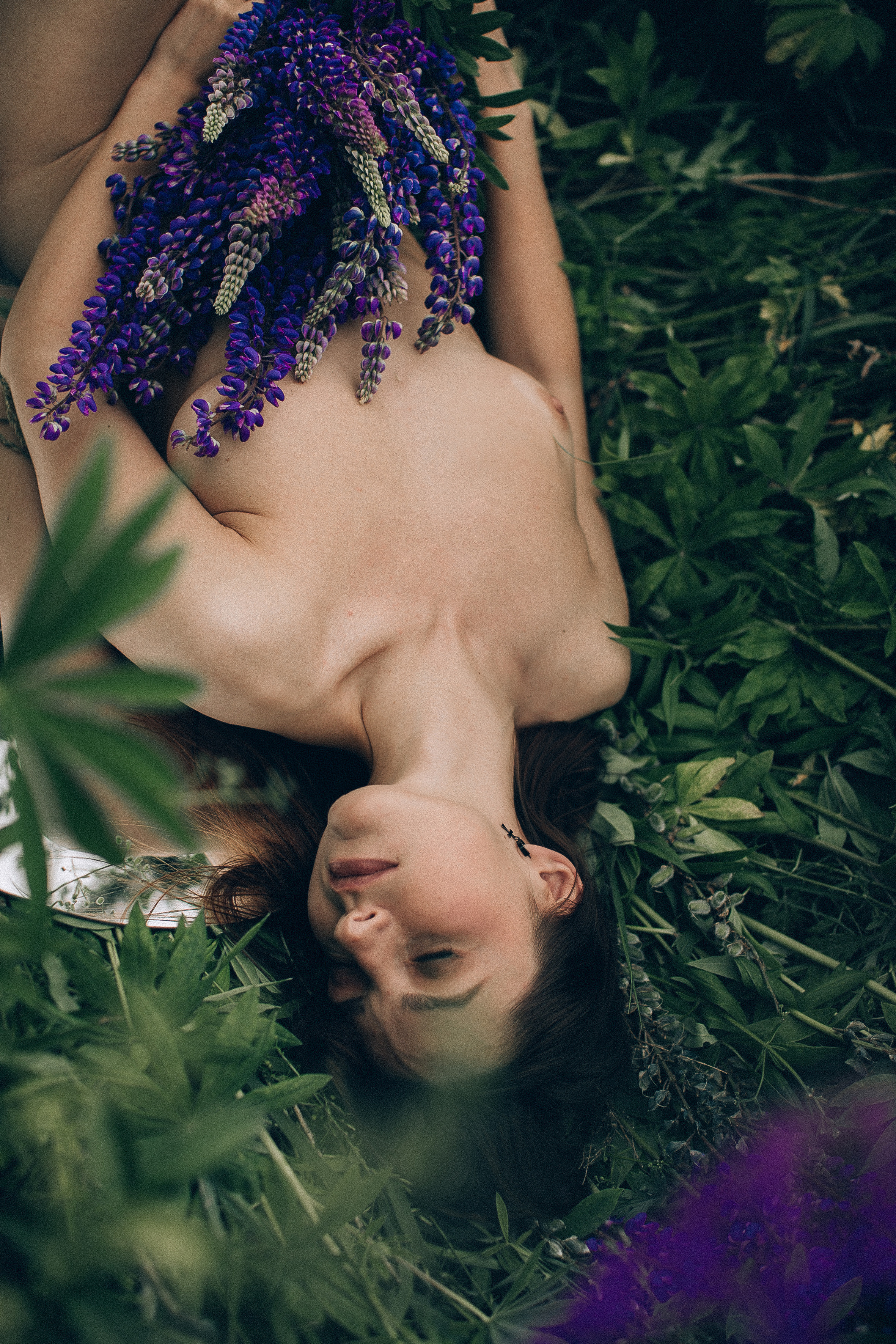 Тихий люпин. Головна