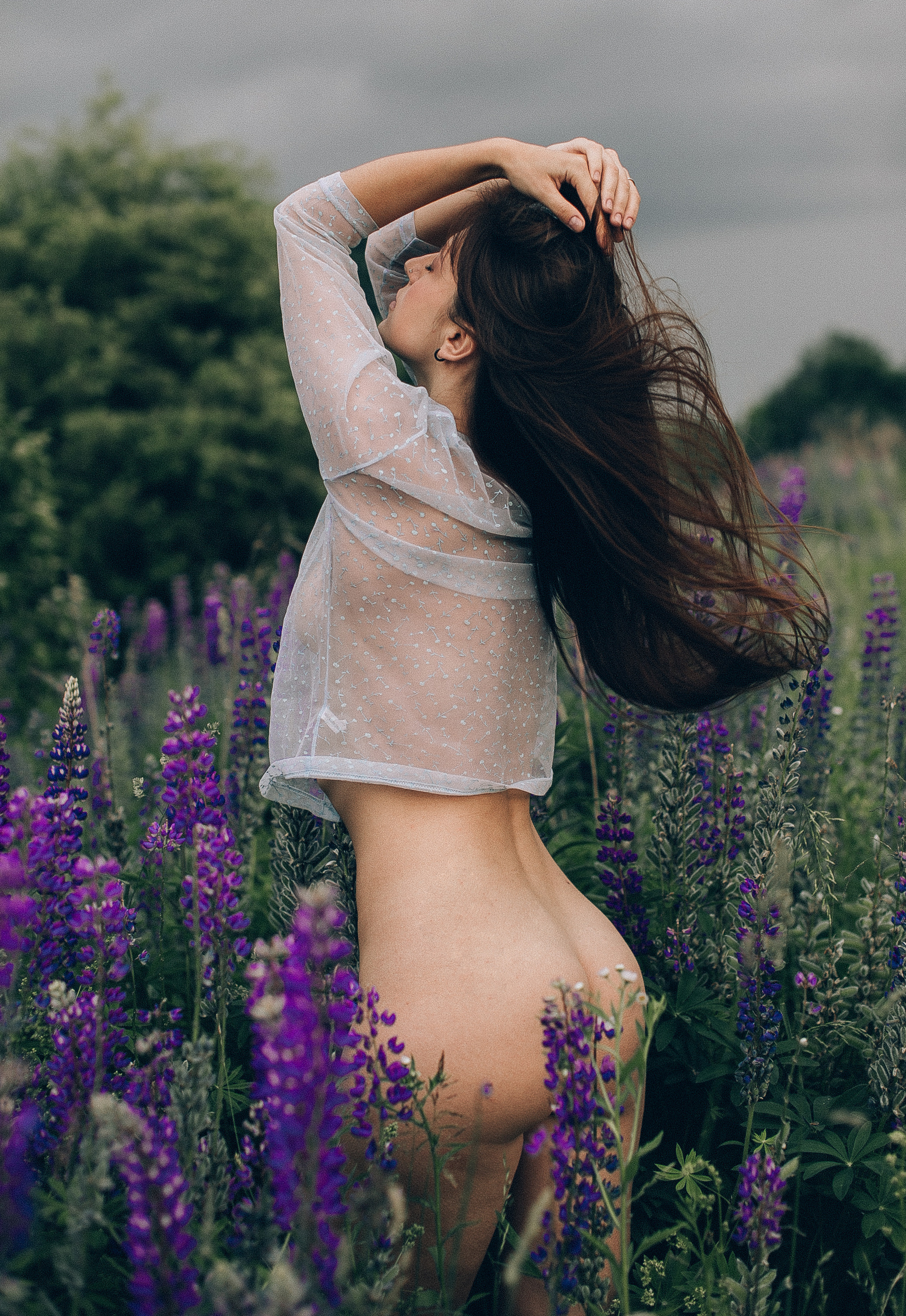 Тихий люпин. Головна