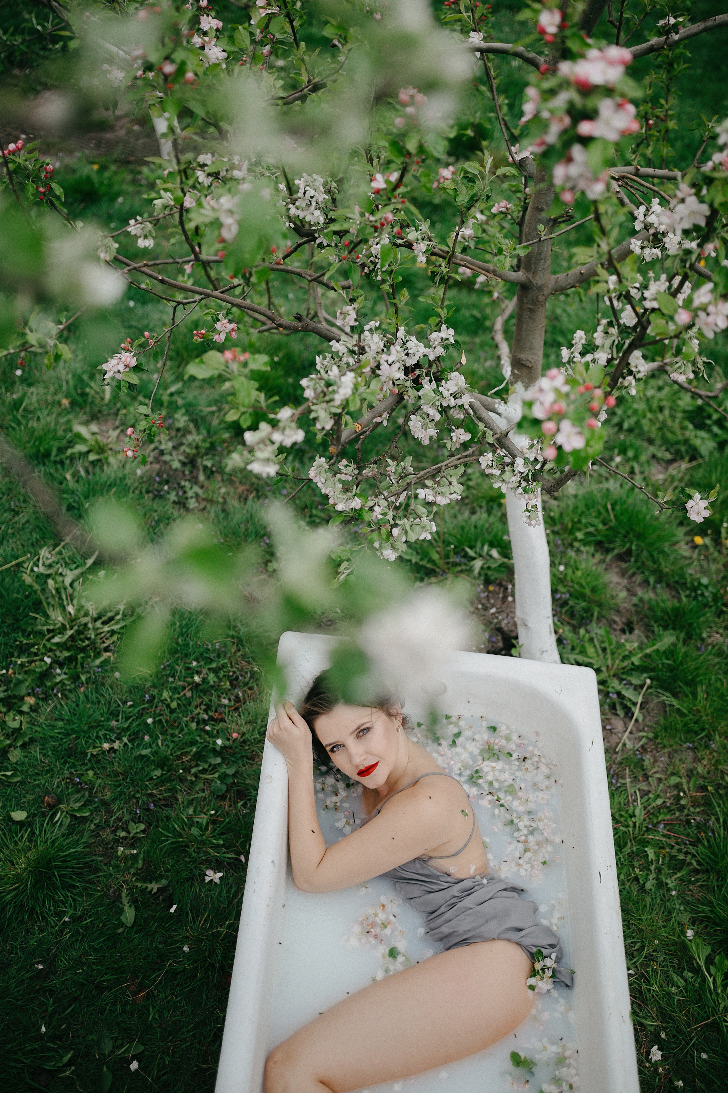 Blossom by blossom, the spring begins. Головна