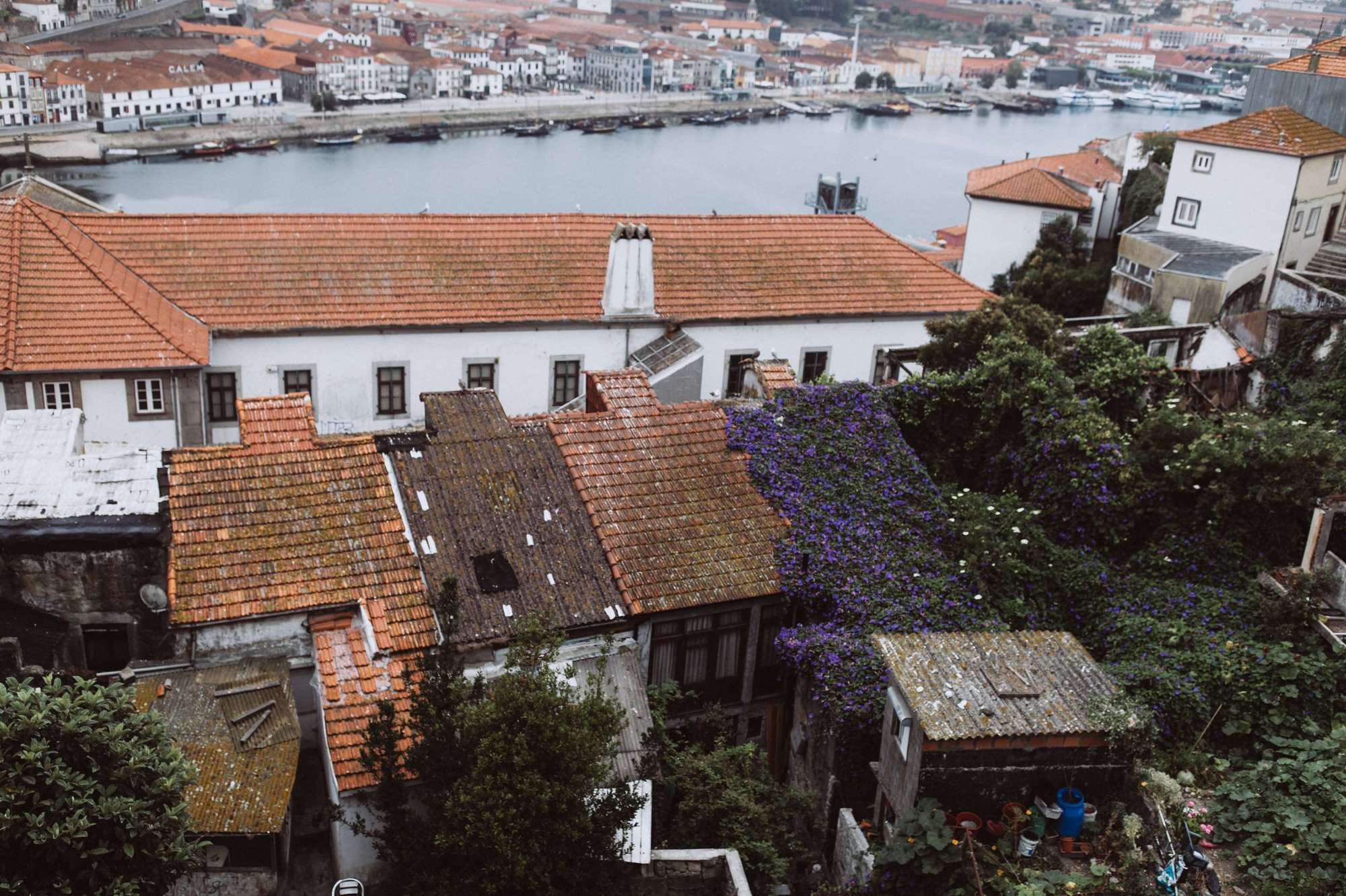 Рortugal. Рorto. Головна