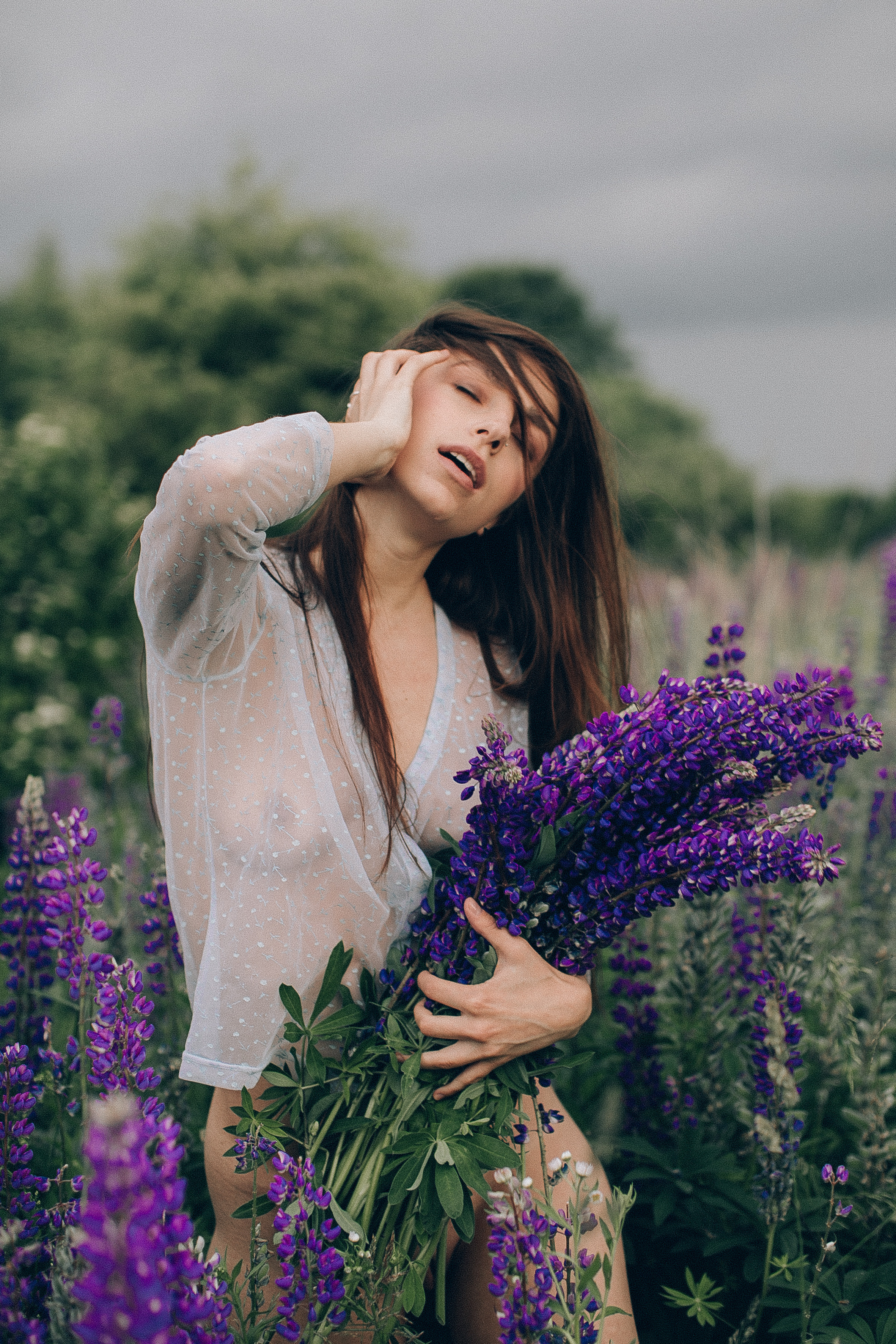 Тихий люпин. Головна