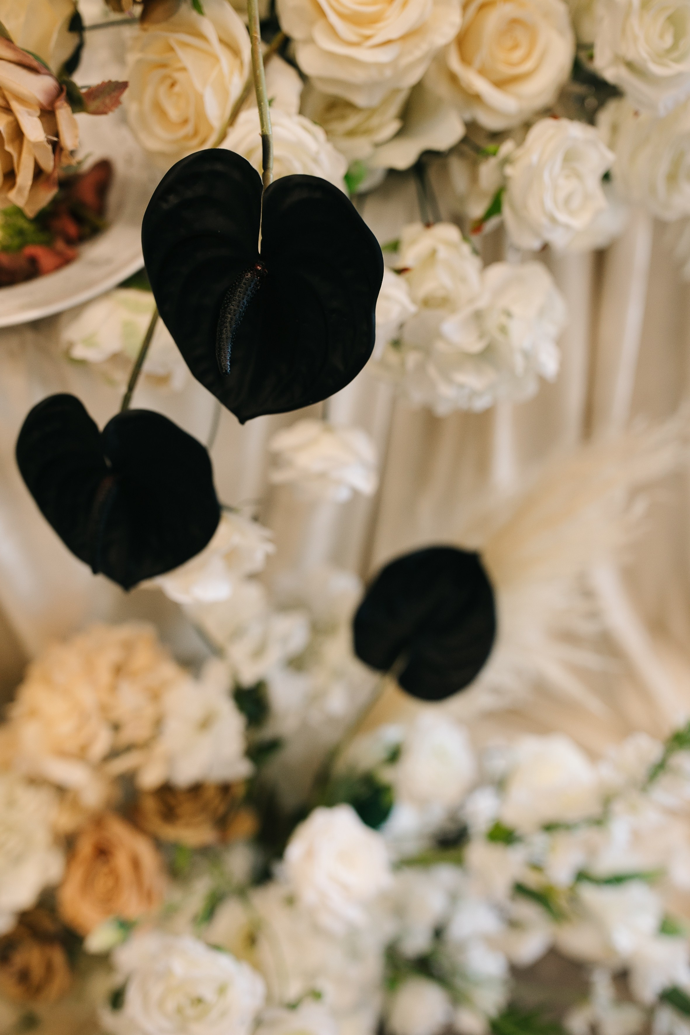 Таня&Йосип. Головна