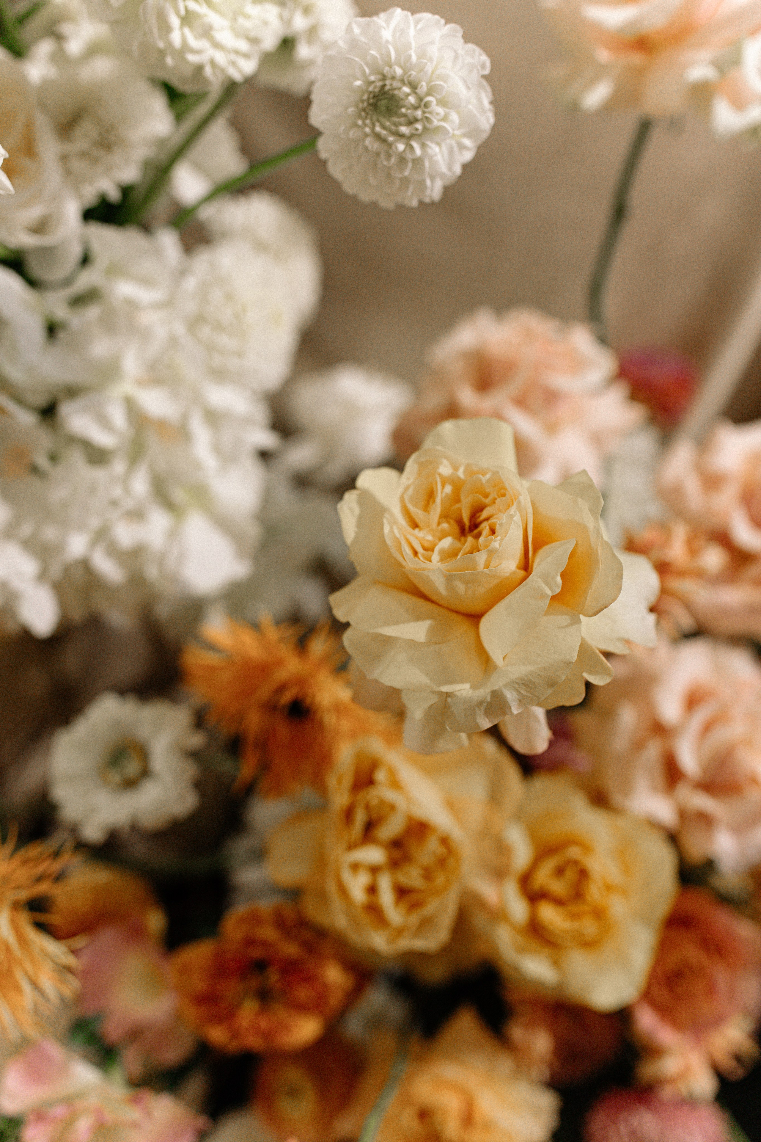 Ольга&Орест. Головна