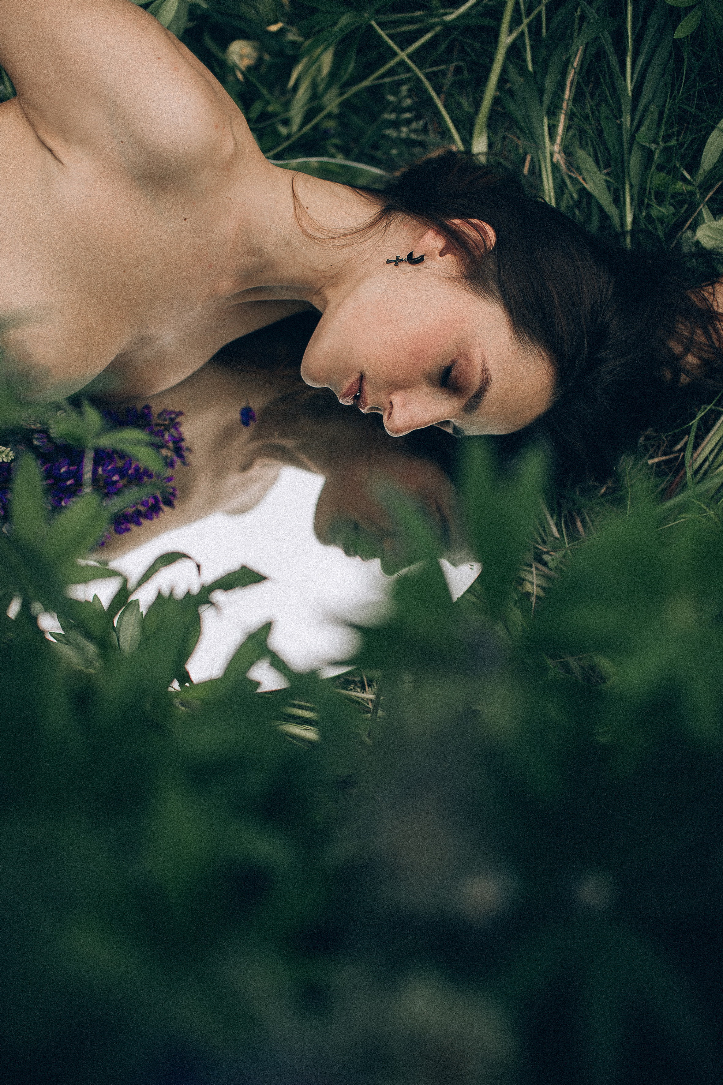 Тихий люпин. Головна