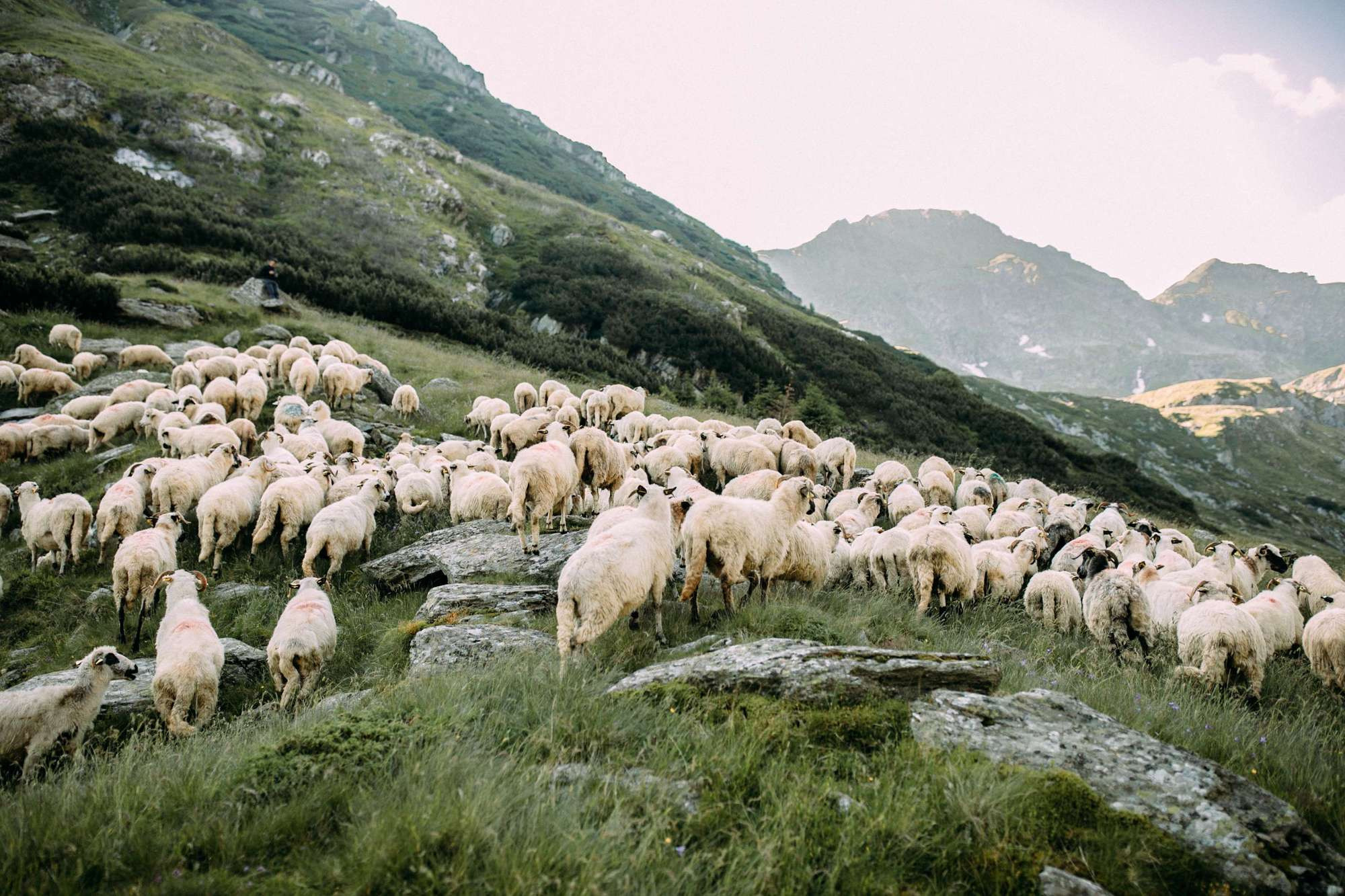 Romania. Transfagarasan. Головна