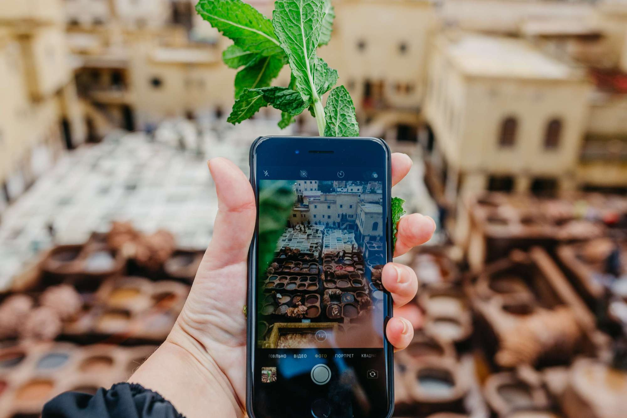 Morocco. Fez. Головна