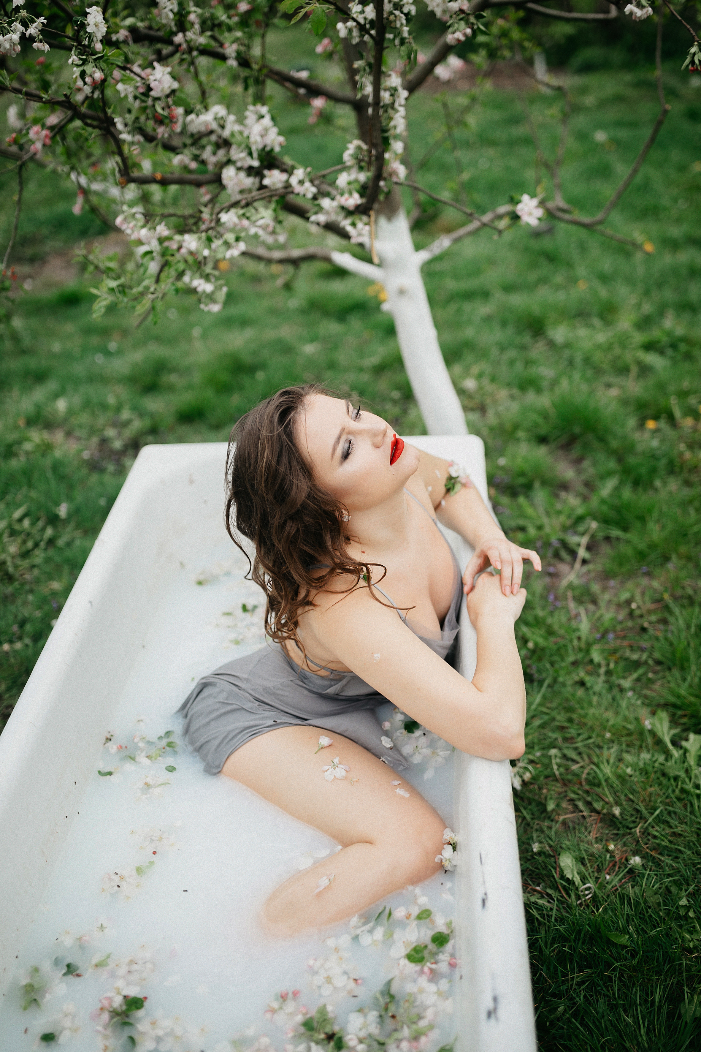 Blossom by blossom, the spring begins. Головна