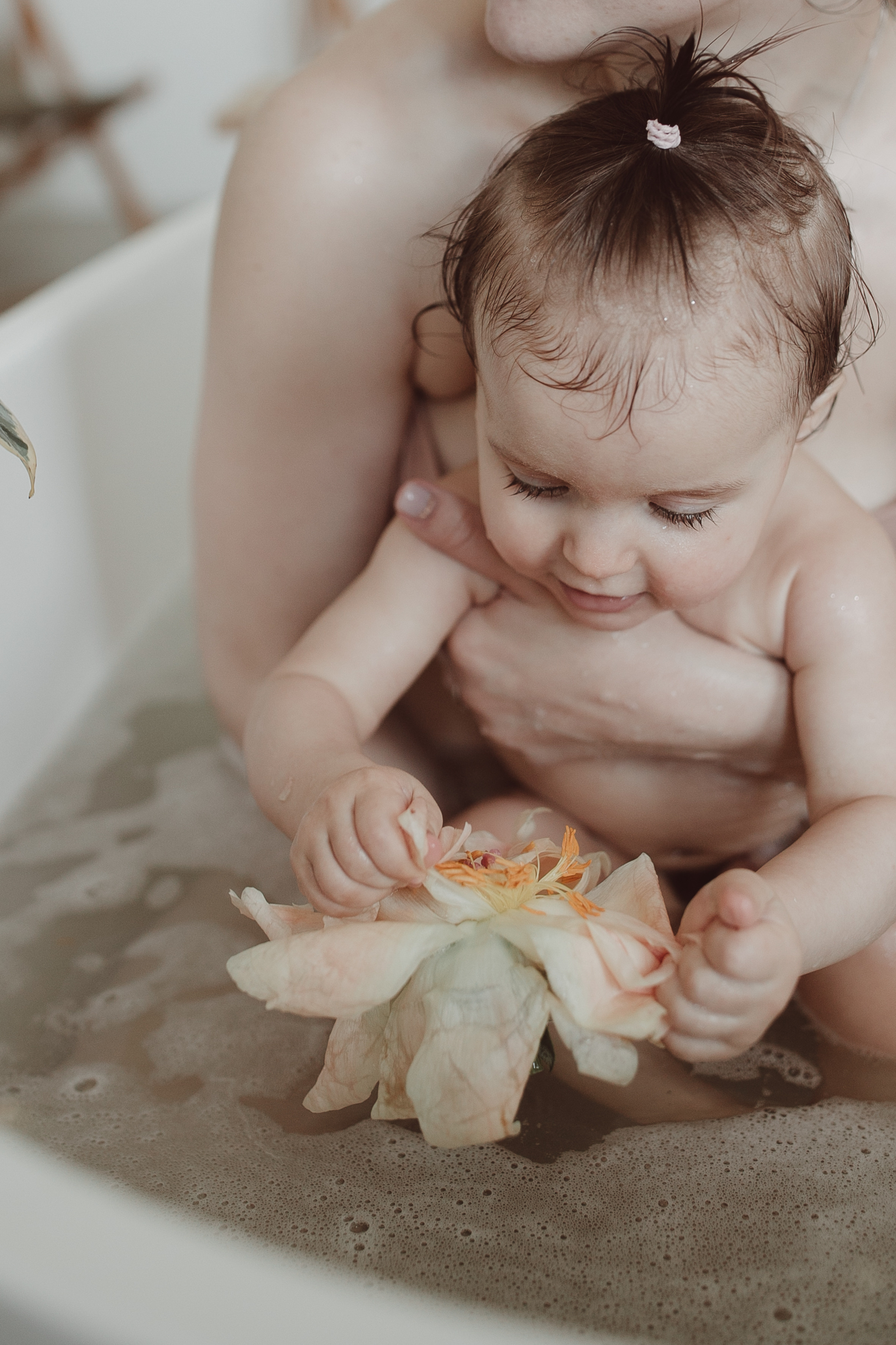 Діана та Даніела. Головна