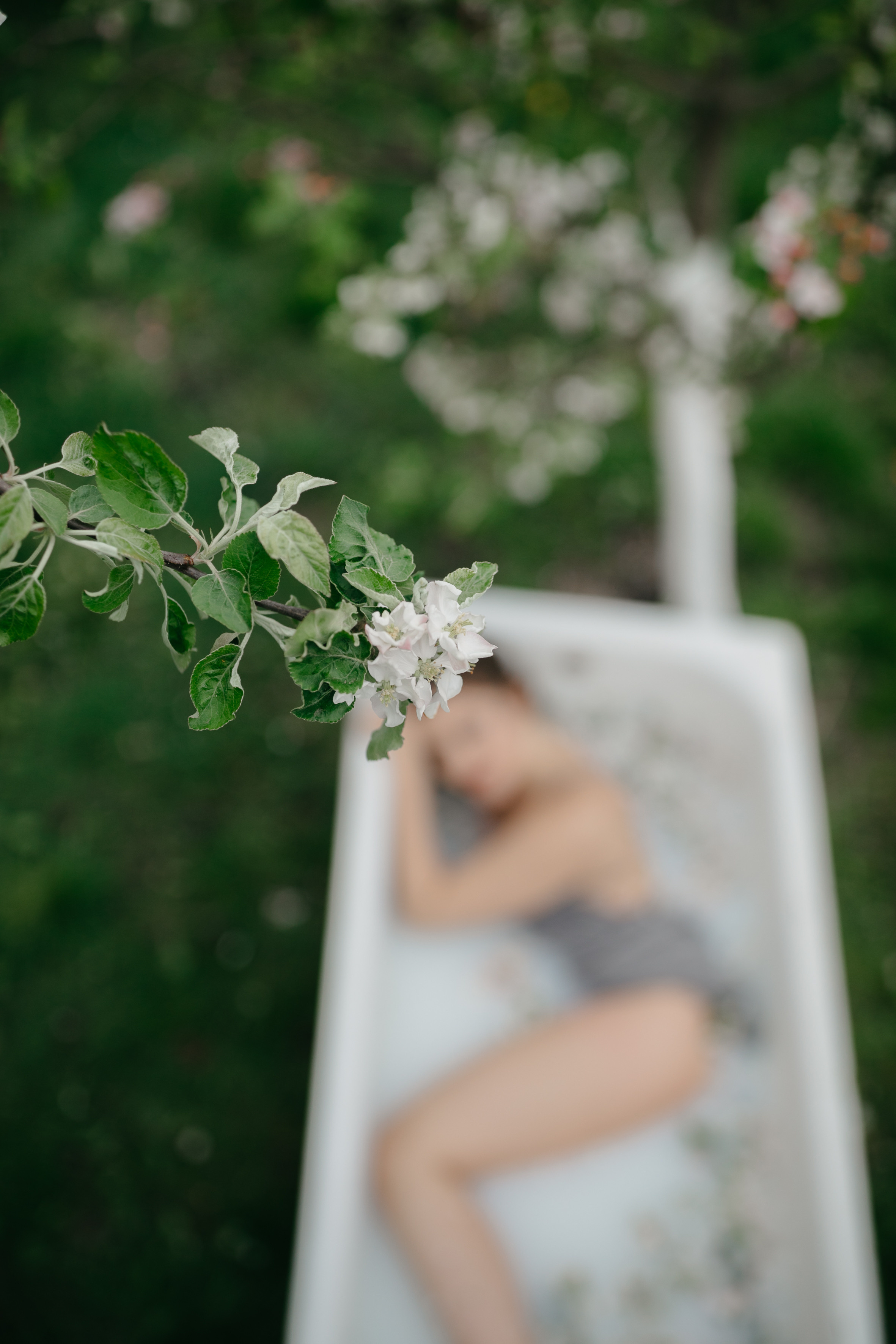 Blossom by blossom, the spring begins. Головна