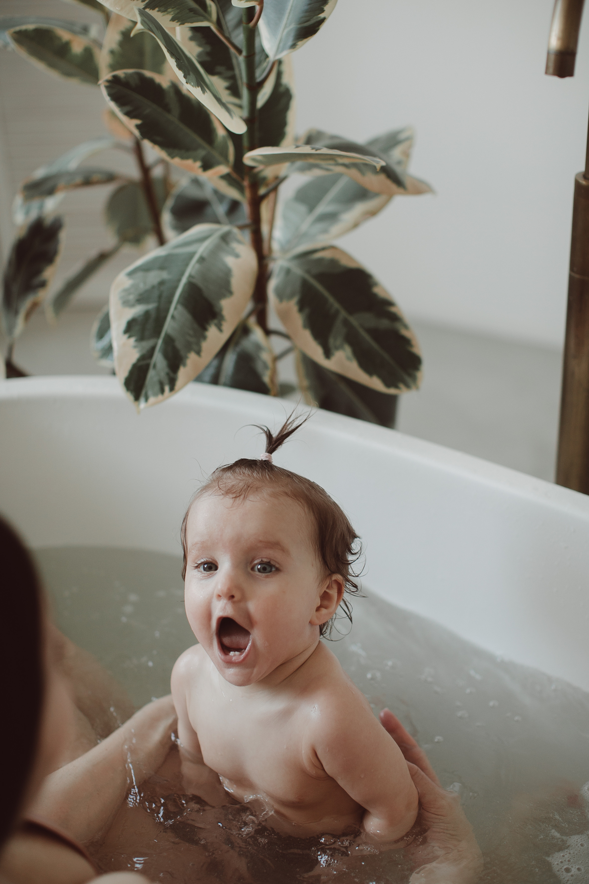 Діана та Даніела. Головна