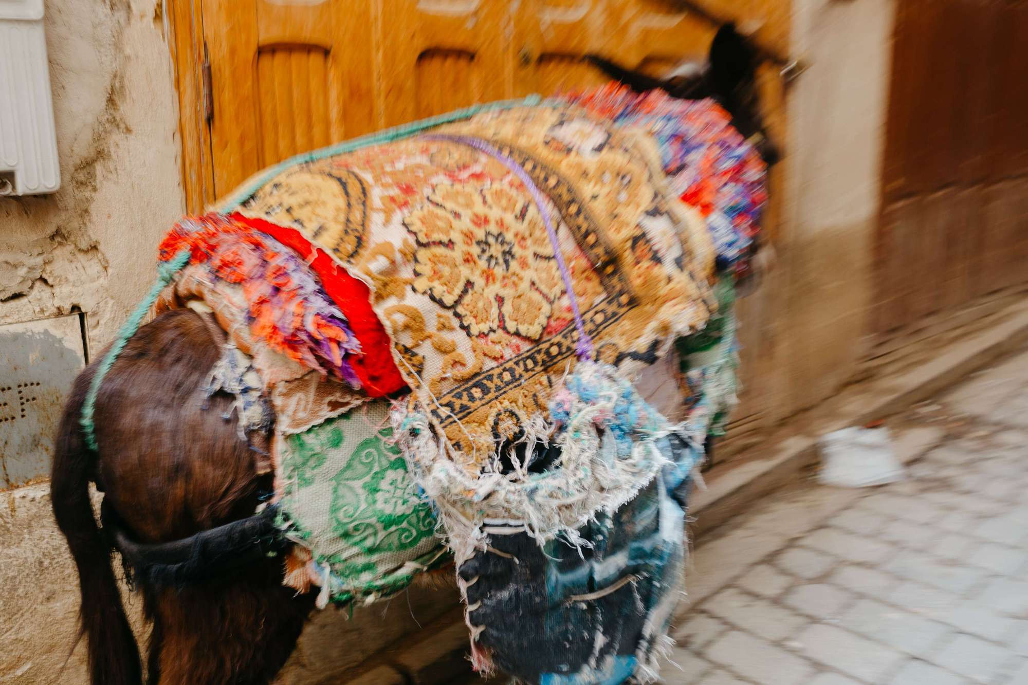 Morocco. Fez. Головна