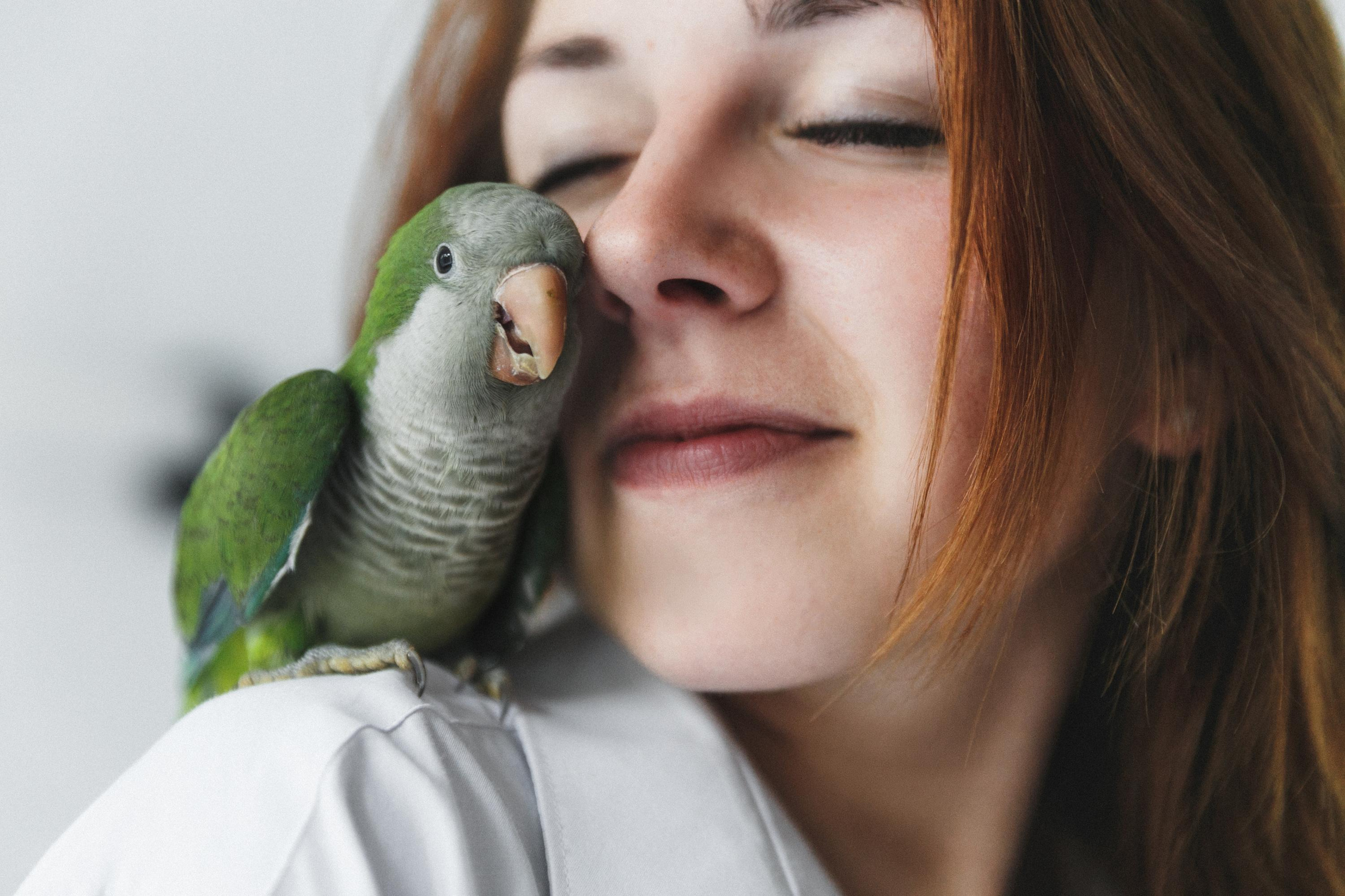 Lovestory Віки та Саші. Весільний та сімейний фотограф в Данії Вячеслав Логвинюк