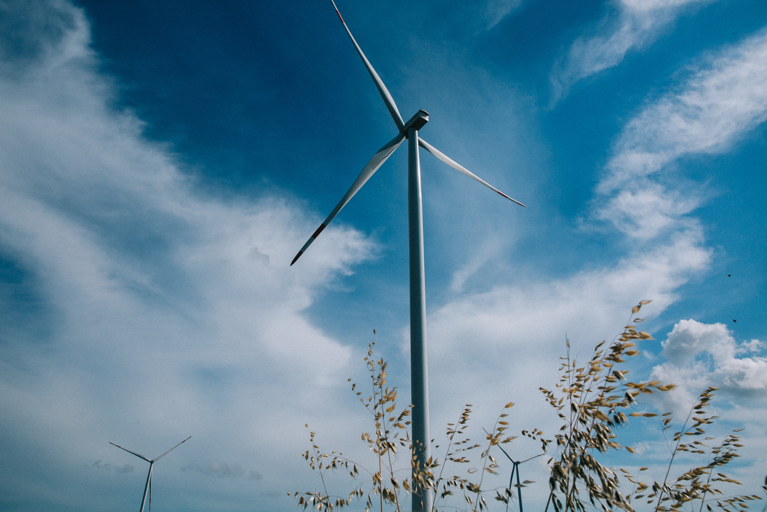 Весілля Наталії та Віктора на Санжейці. Весільний та сімейний фотограф в Данії Вячеслав Логвинюк