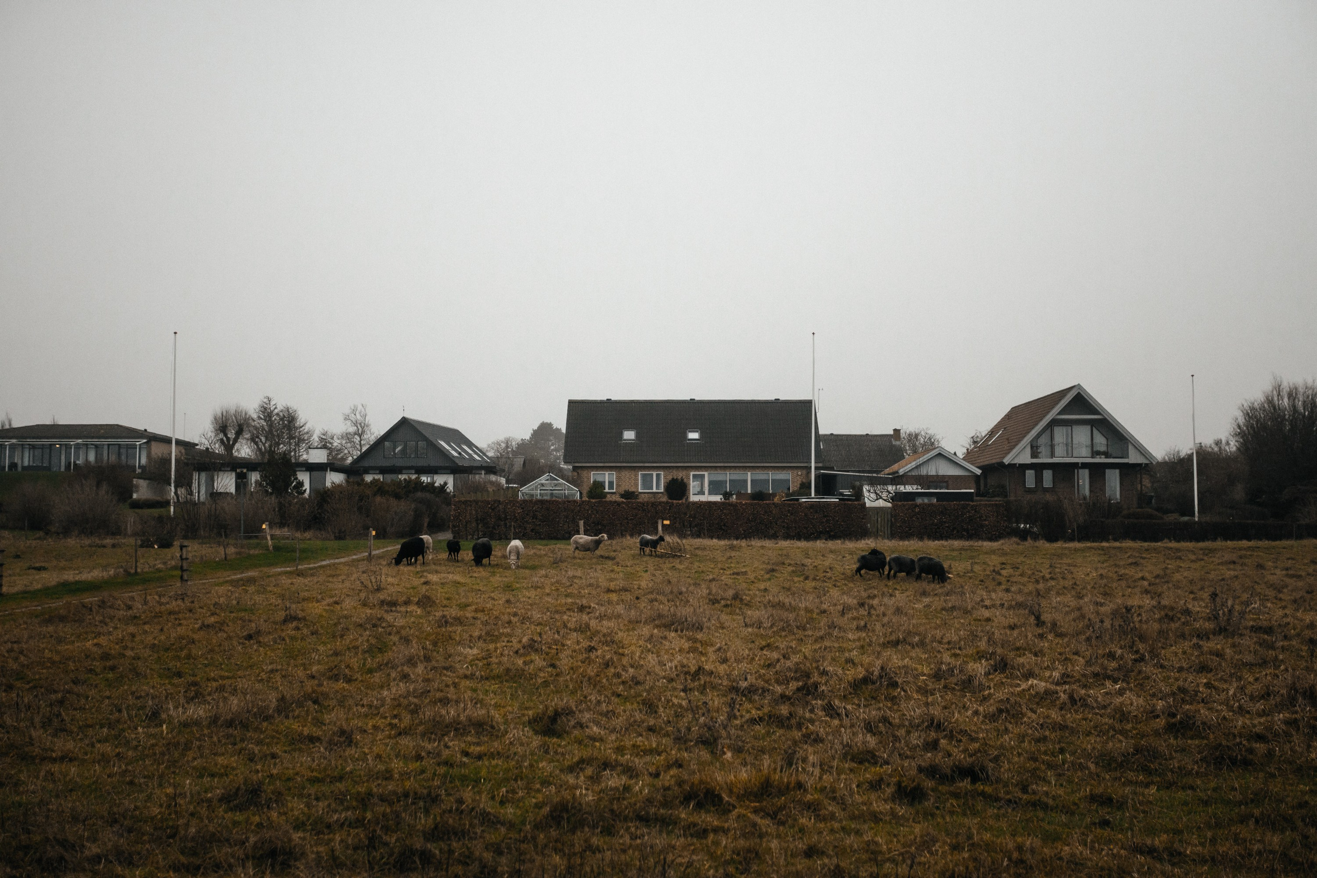 Wedding on Aero Island Parvina and Giuseppe. Весільний та сімейний фотограф в Данії Вячеслав Логвинюк