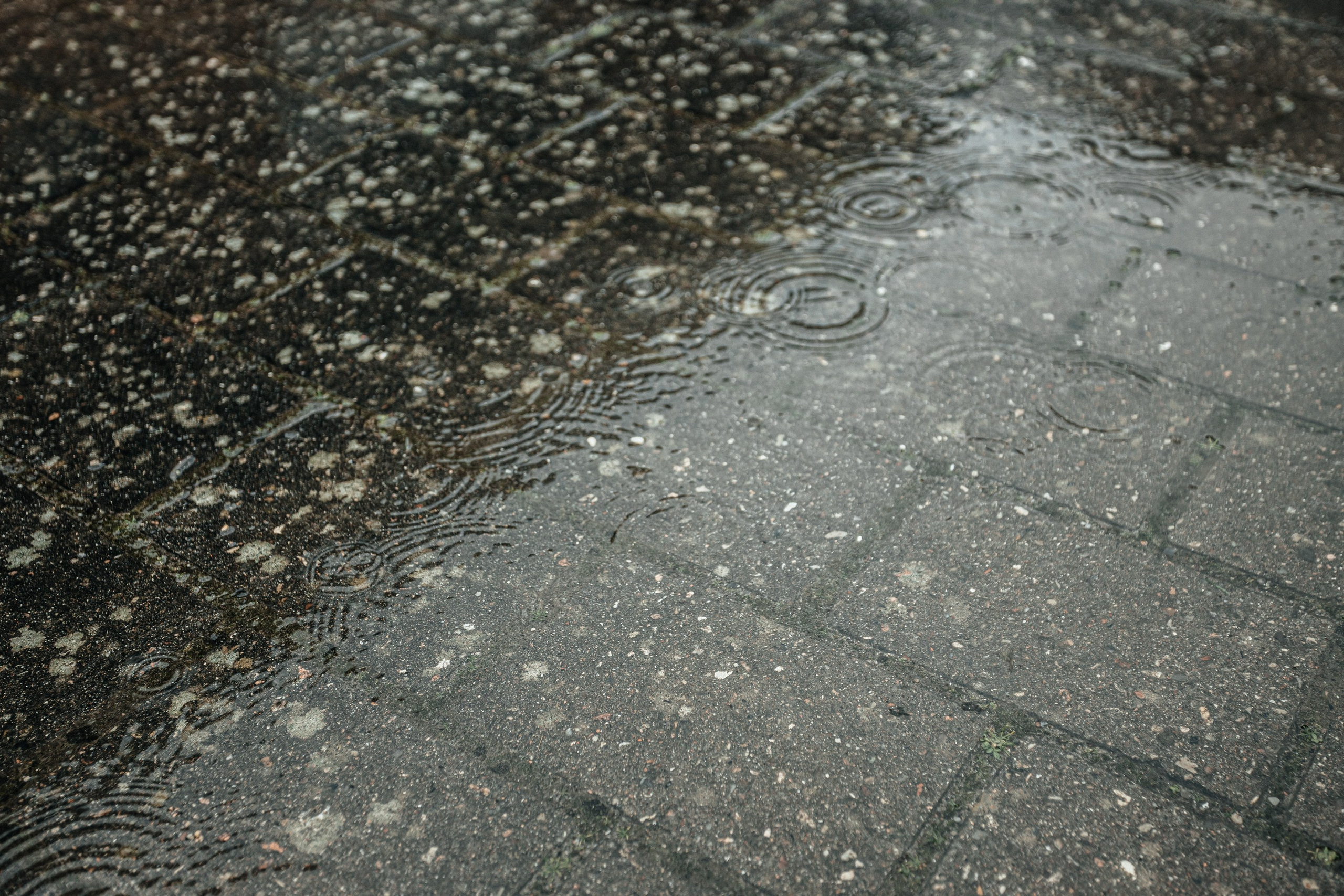 Wedding Tanya and Pashas in Danmark. Весільний та сімейний фотограф в Данії Вячеслав Логвинюк