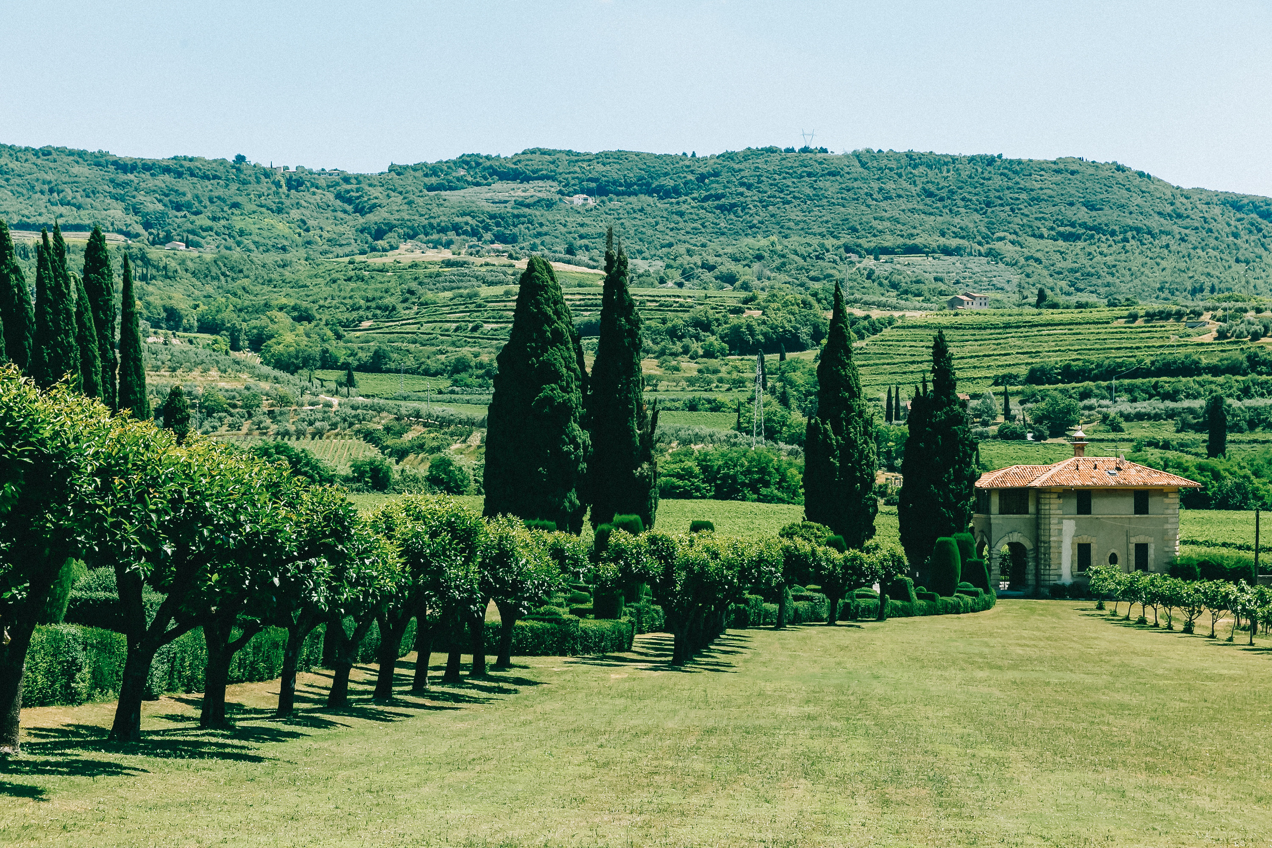 Весілля Аліни Гросу. Весільний та сімейний фотограф в Данії Вячеслав Логвинюк