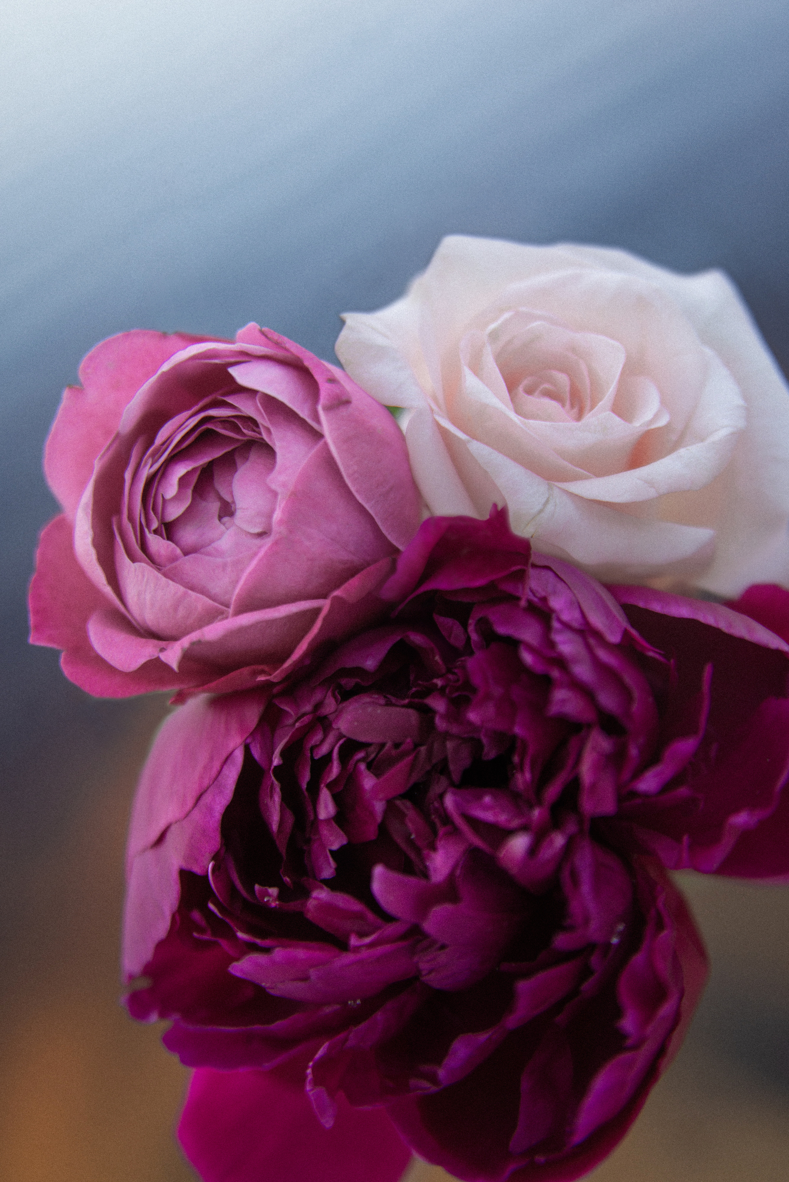 Арт зйомки | Art Photoshoot. Фотограф Ніна Тарашкевич | Київ | Чуттєві Портрети, Лавсторі