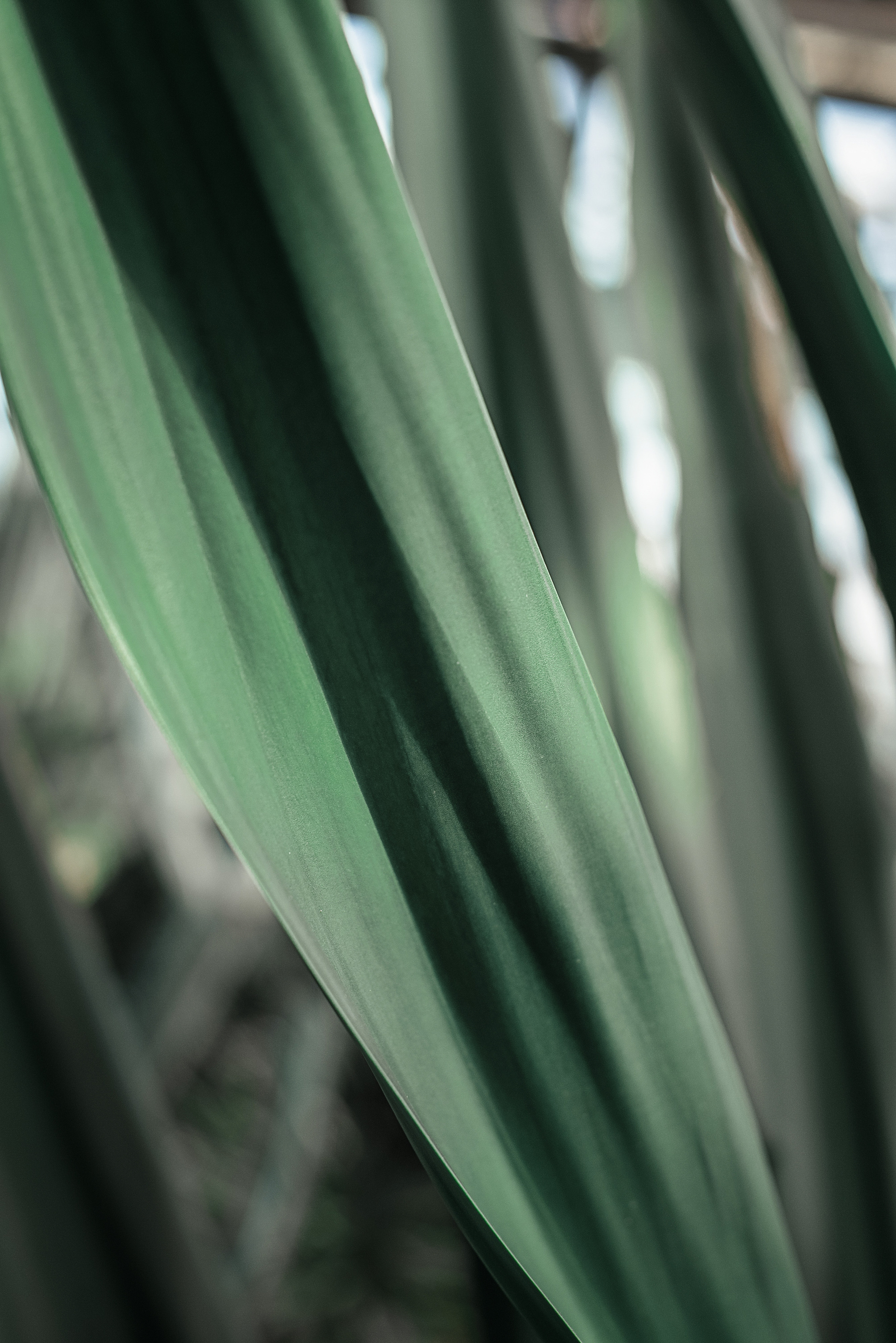 Інше. Фотограф Ніна Тарашкевич | Київ | Чуттєві Портрети, Лавсторі