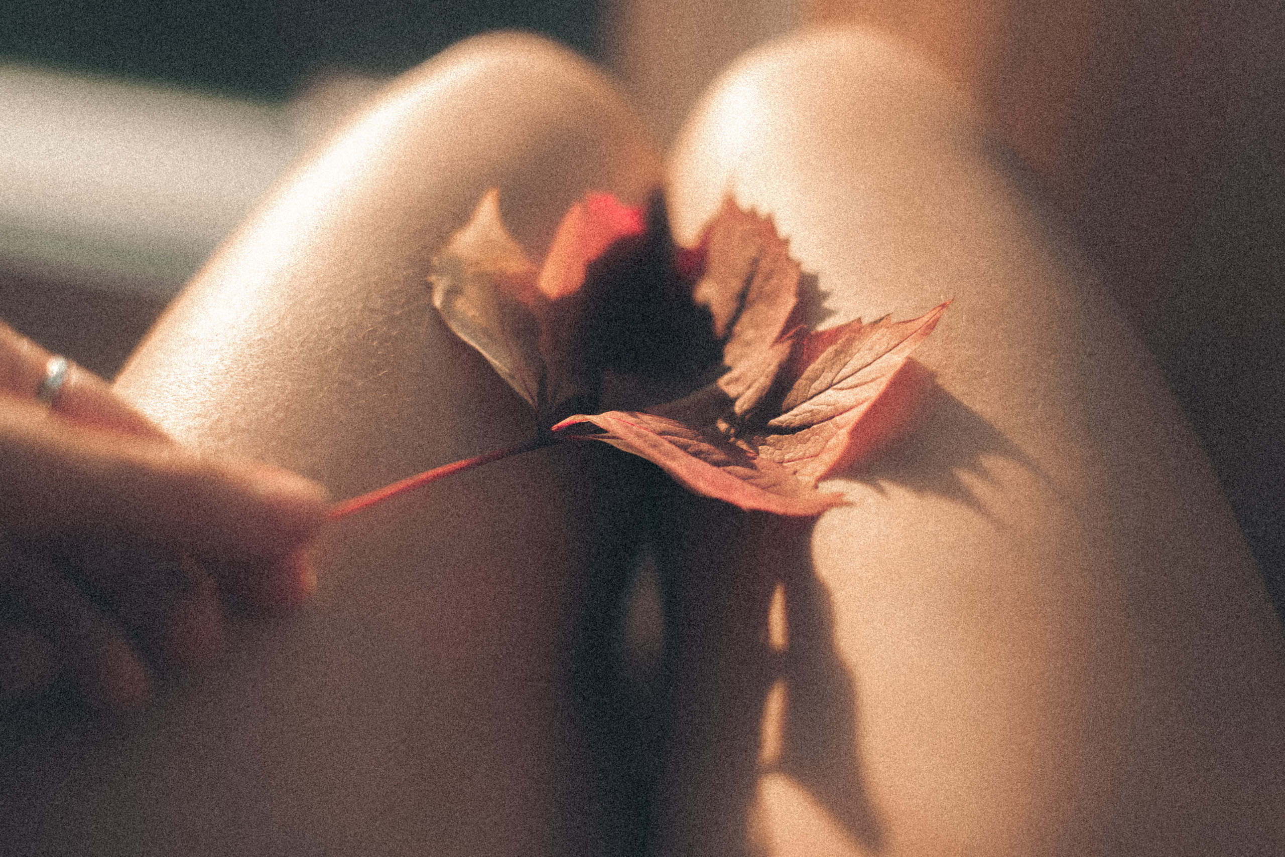 Арт зйомки | Art Photoshoot. Фотограф Ніна Тарашкевич | Київ | Чуттєві Портрети, Лавсторі