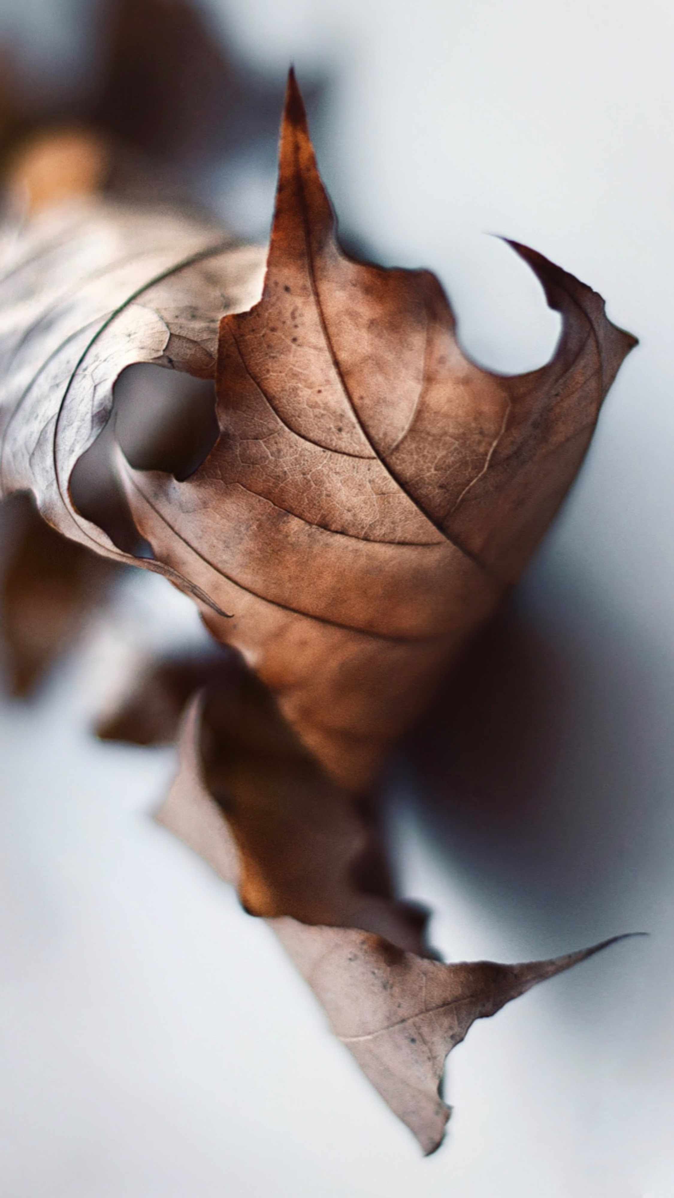 Інше. Фотограф Ніна Тарашкевич | Київ | Чуттєві Портрети, Лавсторі