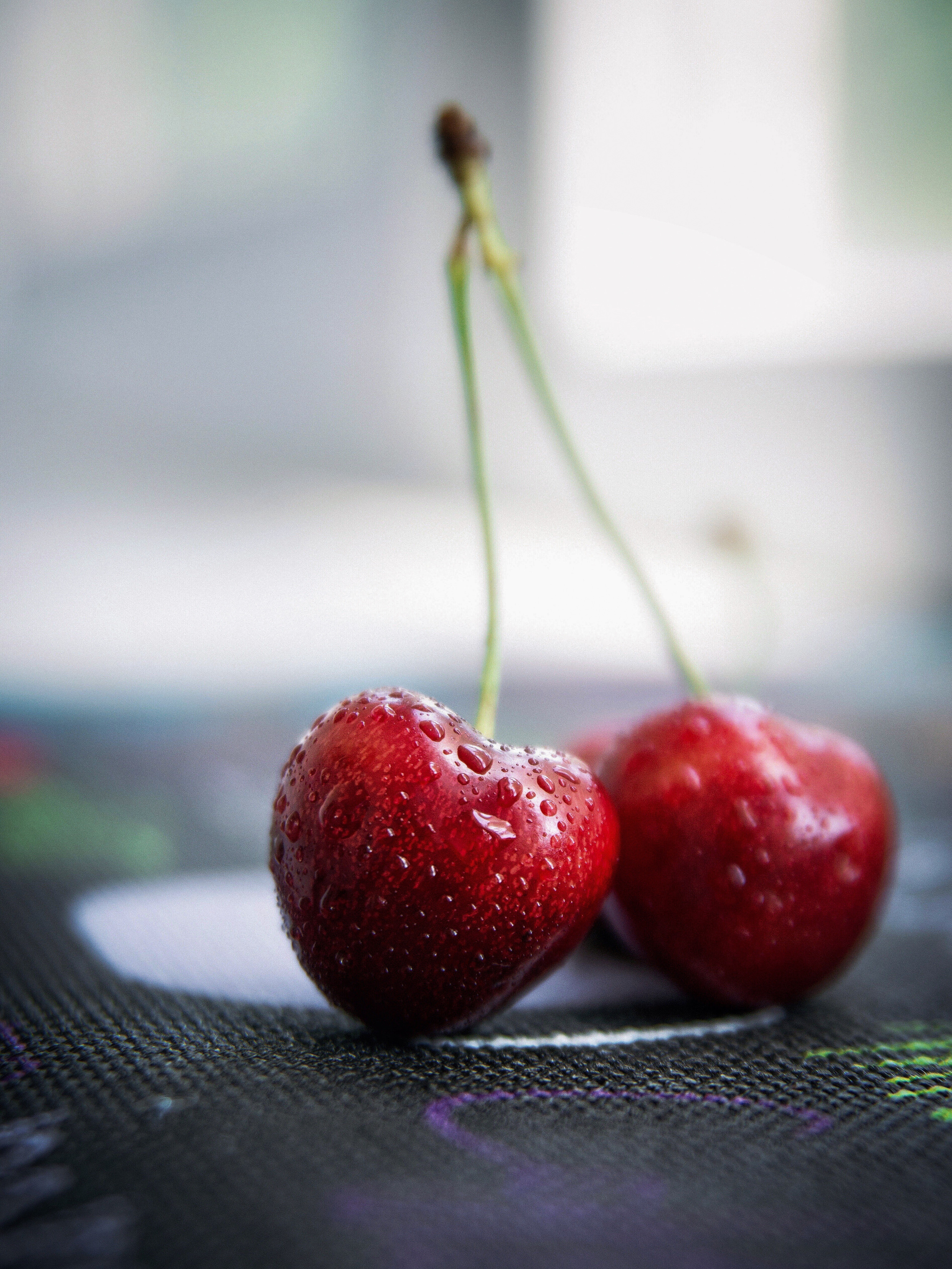 Ресторани. Фотограф Ніна Тарашкевич | Київ | Чуттєві Портрети, Лавсторі