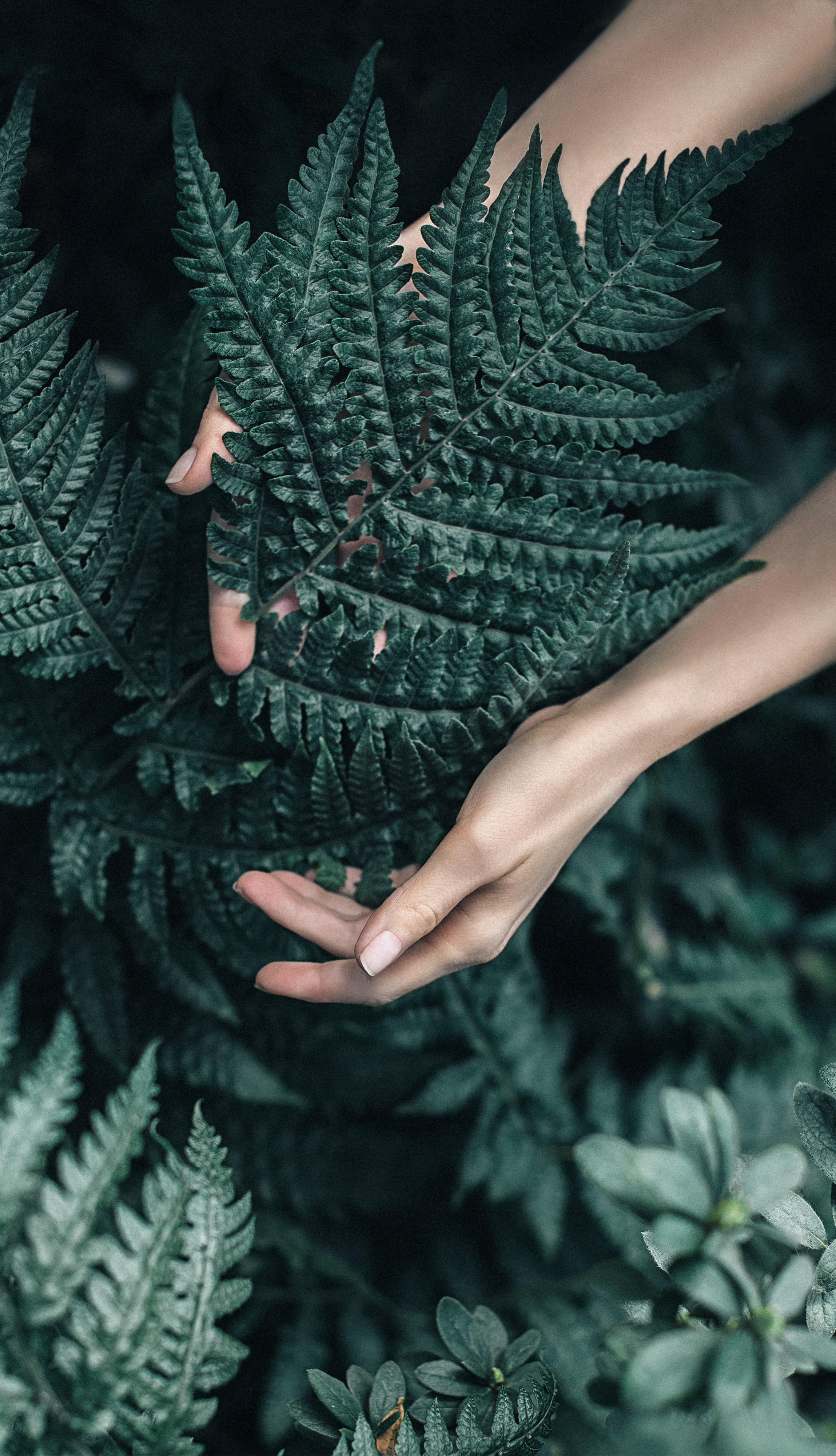 Інше. Фотограф Ніна Тарашкевич | Київ | Чуттєві Портрети, Лавсторі