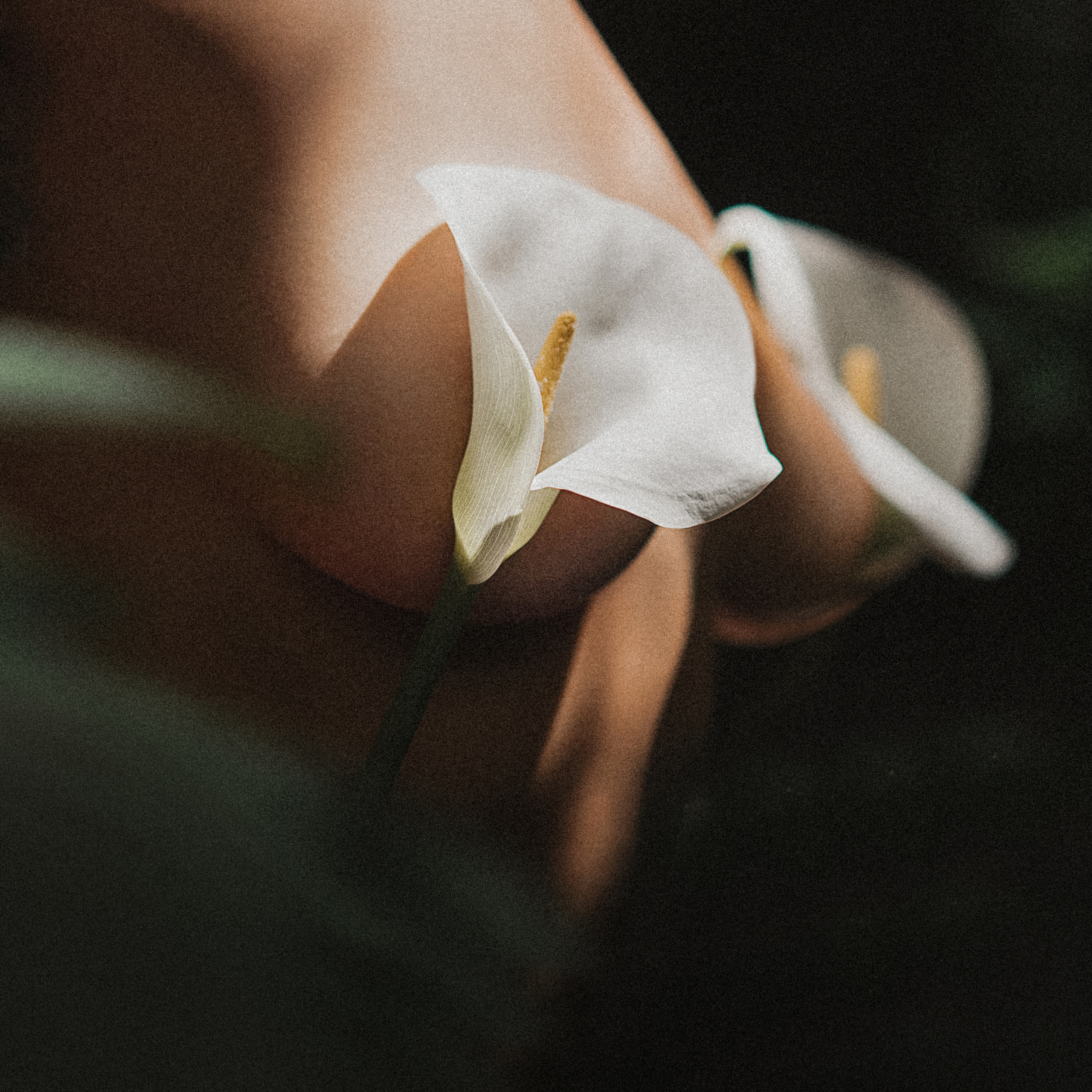 Чуттєва зйомка| Sensual photo. Фотограф Ніна Тарашкевич | Київ | Чуттєві Портрети, Лавсторі