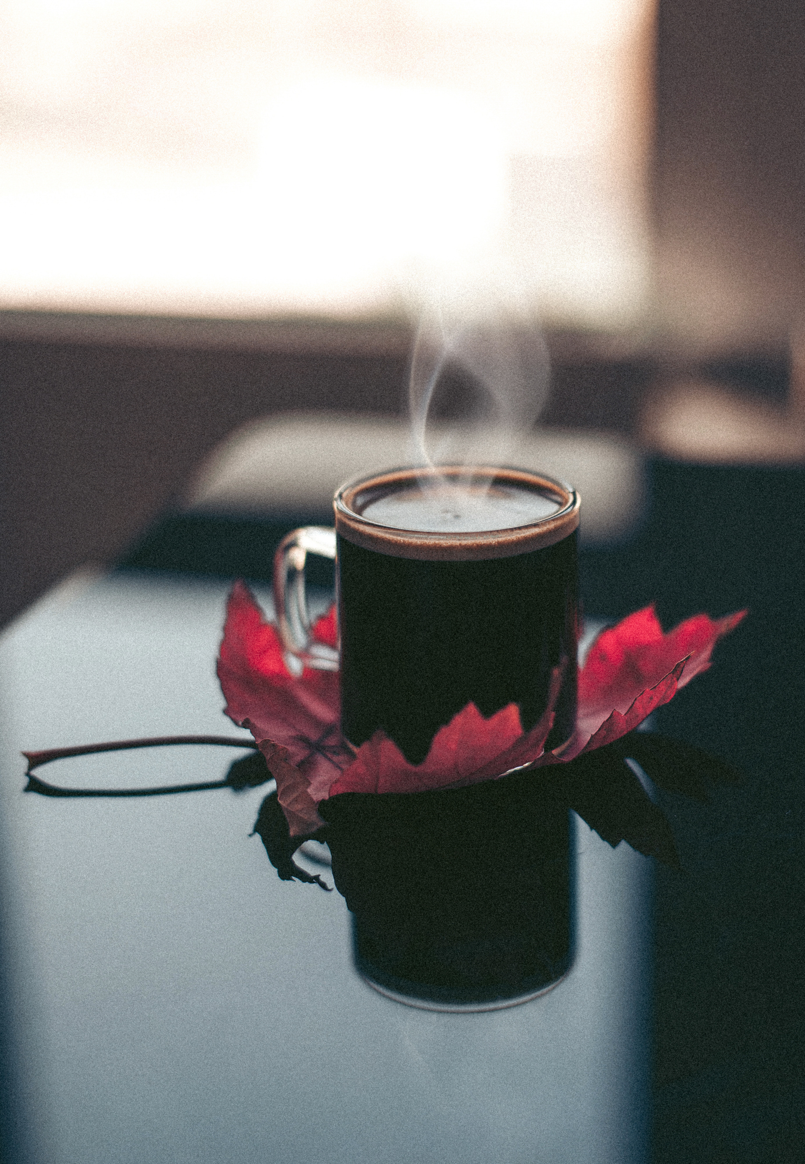 Ресторани. Фотограф Ніна Тарашкевич | Київ | Чуттєві Портрети, Лавсторі