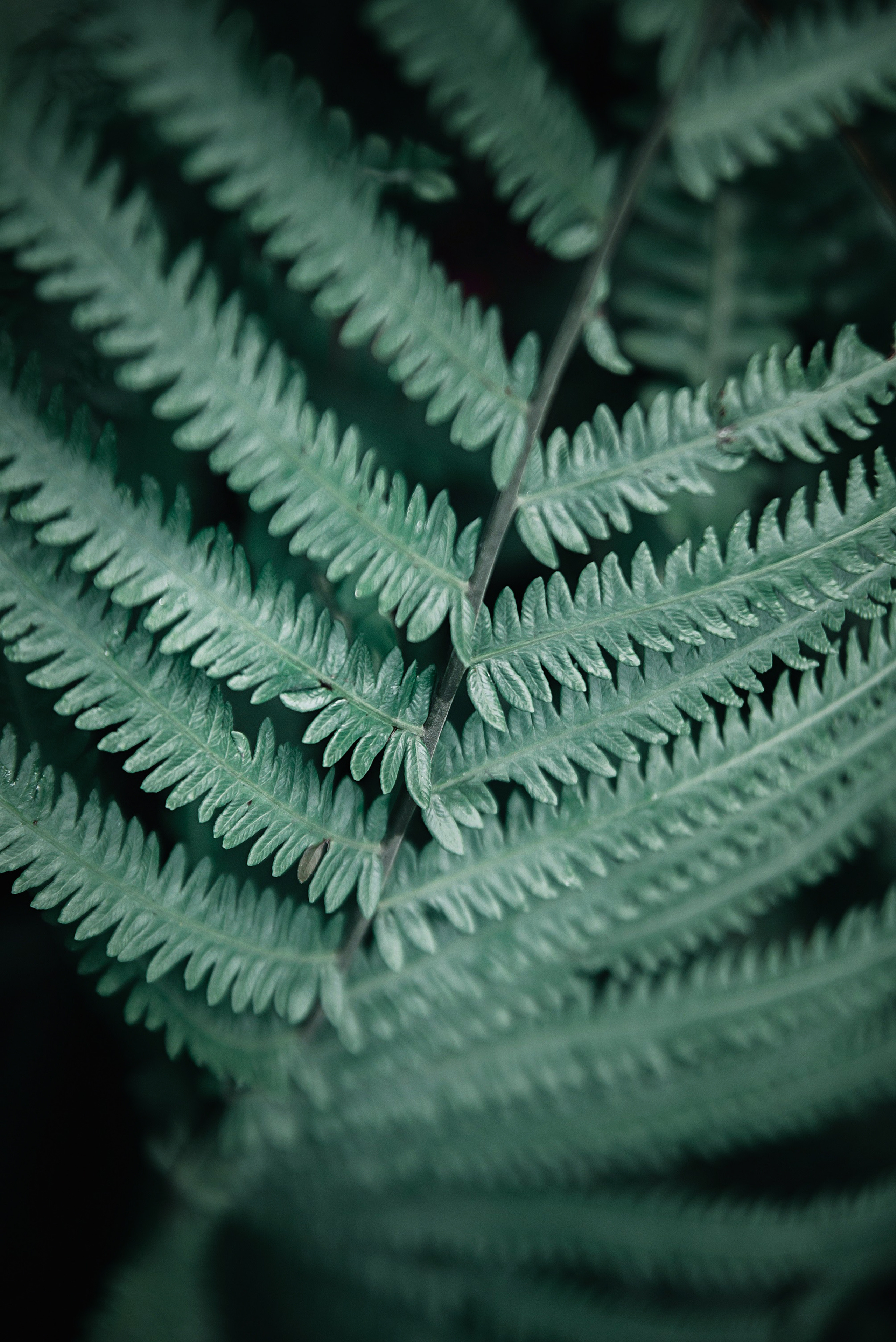 Інше. Фотограф Ніна Тарашкевич | Київ | Чуттєві Портрети, Лавсторі