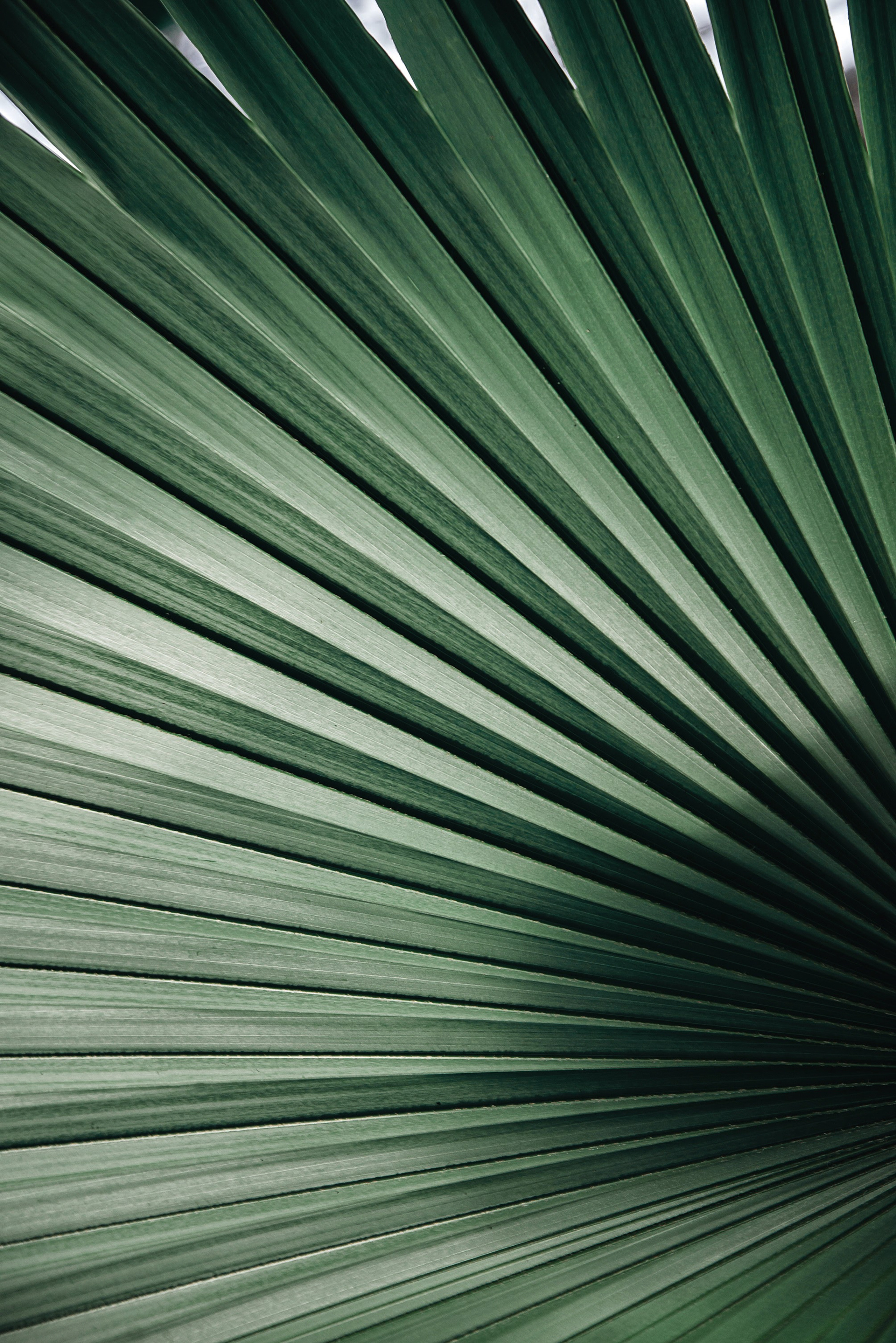 Інше. Фотограф Ніна Тарашкевич | Київ | Чуттєві Портрети, Лавсторі