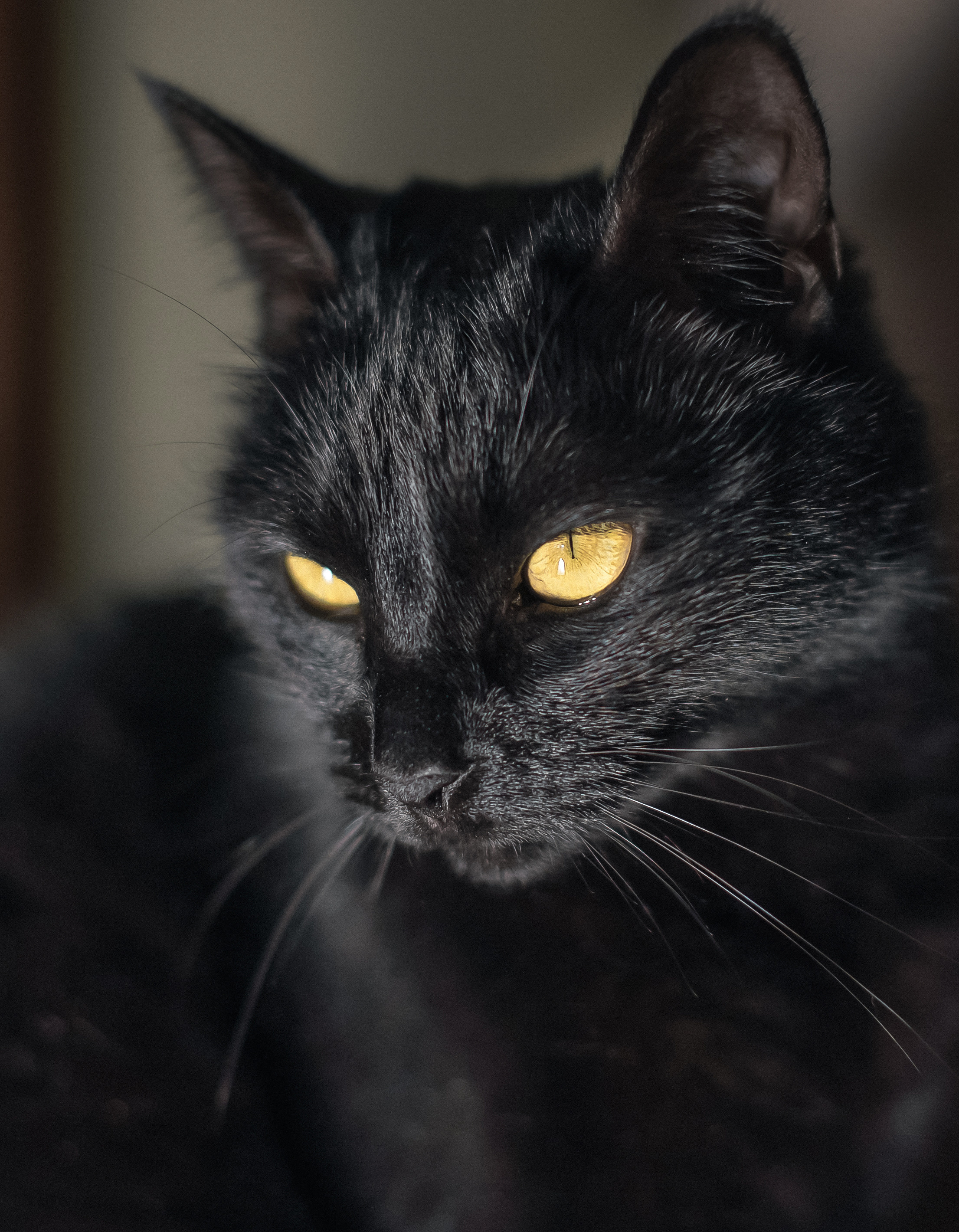 Арт зйомки | Art Photoshoot. Фотограф Ніна Тарашкевич | Київ | Чуттєві Портрети, Лавсторі