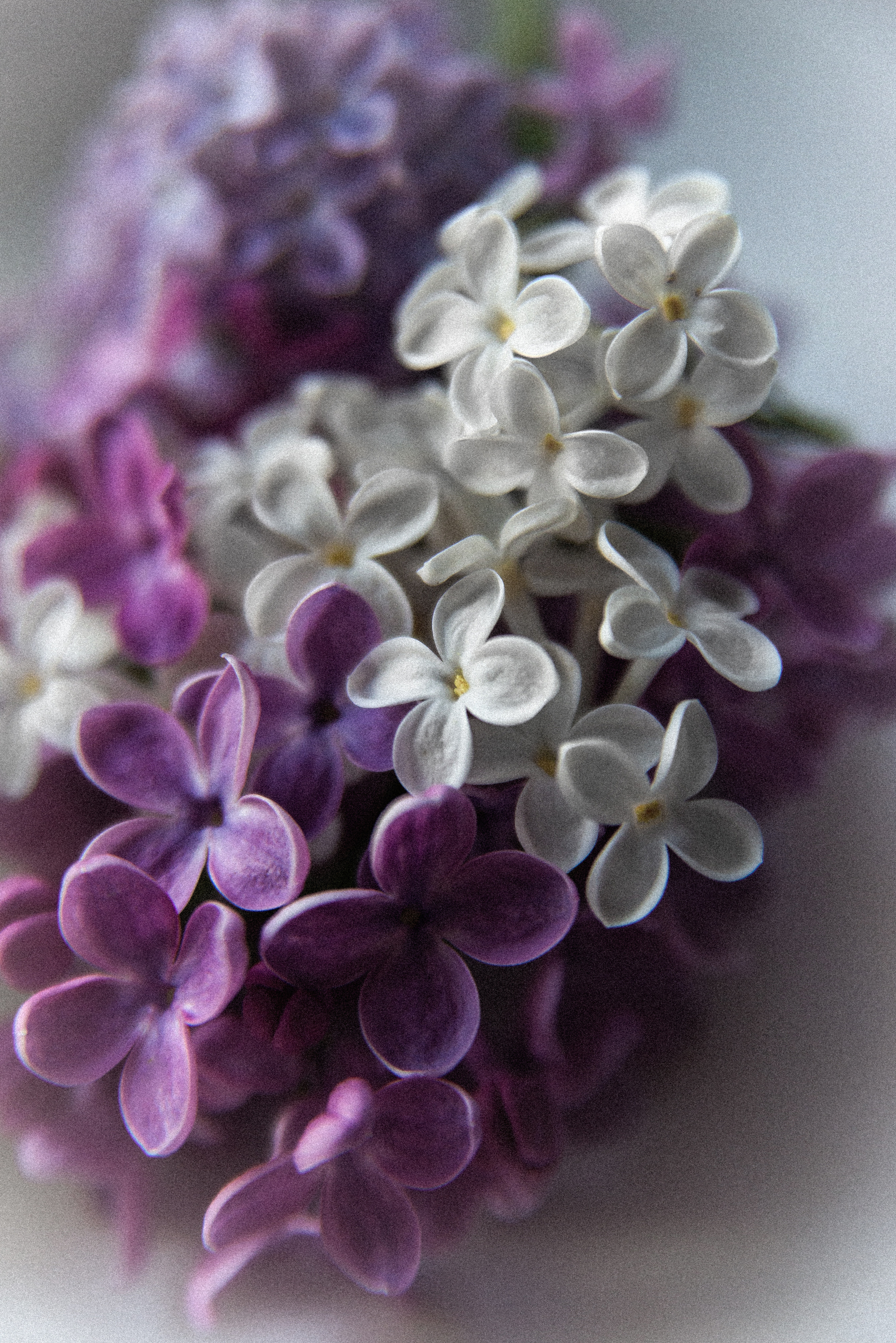 Арт зйомки | Art Photoshoot. Фотограф Ніна Тарашкевич | Київ | Чуттєві Портрети, Лавсторі