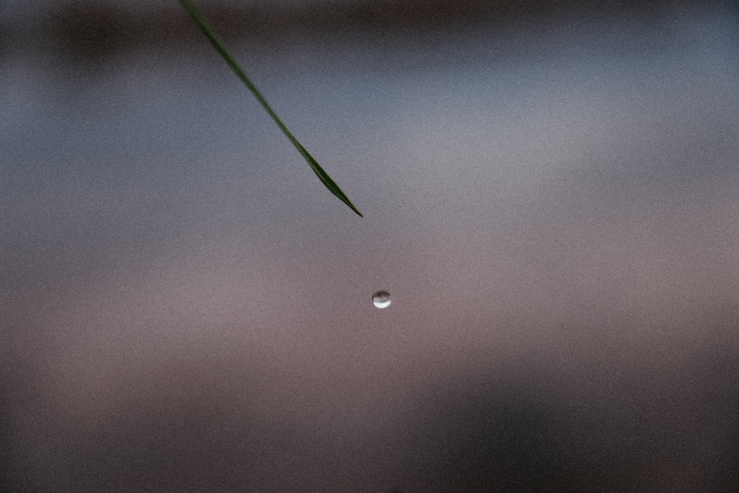 Арт зйомки | Art Photoshoot. Фотограф Ніна Тарашкевич | Київ | Чуттєві Портрети, Лавсторі