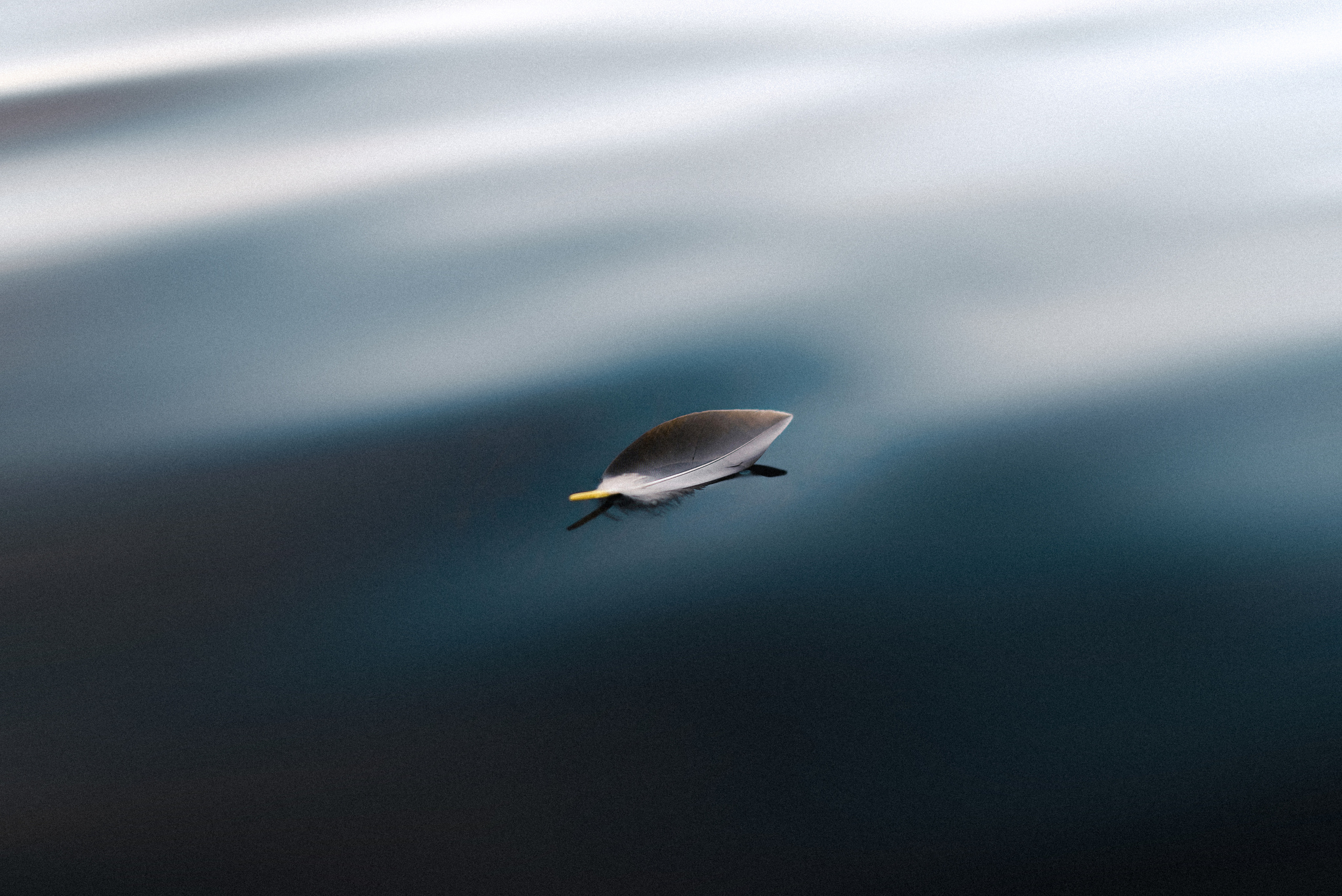 Арт зйомки | Art Photoshoot. Фотограф Ніна Тарашкевич | Київ | Чуттєві Портрети, Лавсторі