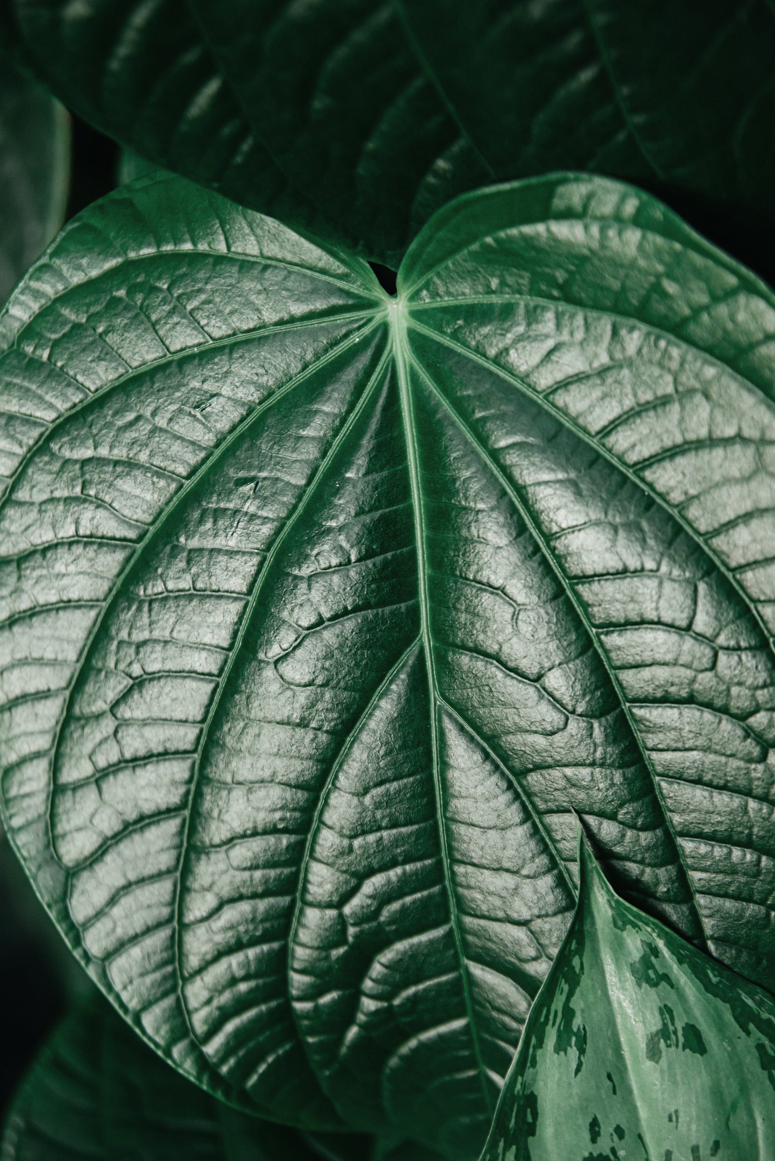 Інше. Фотограф Ніна Тарашкевич | Київ | Чуттєві Портрети, Лавсторі