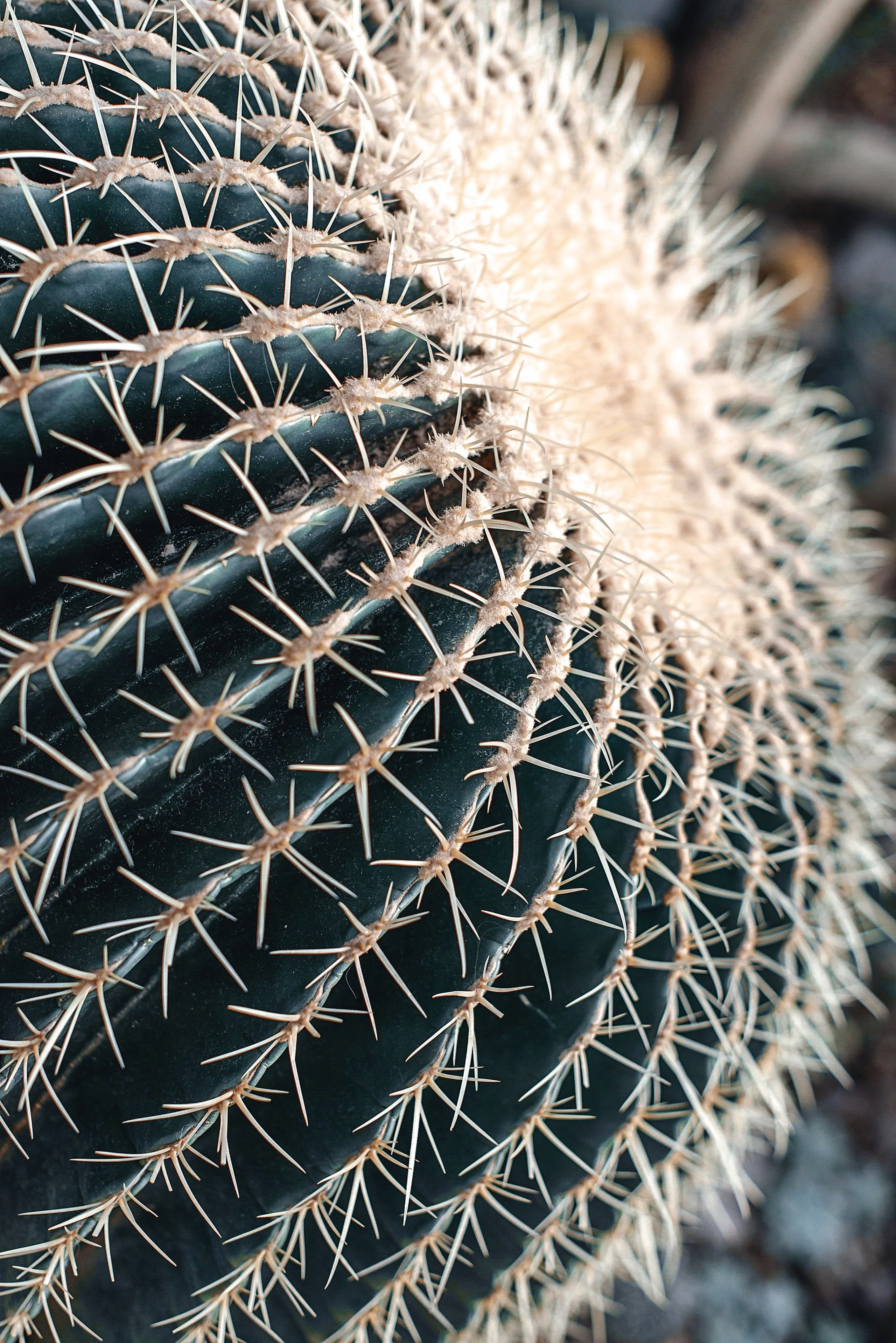 Інше. Фотограф Ніна Тарашкевич | Київ | Чуттєві Портрети, Лавсторі
