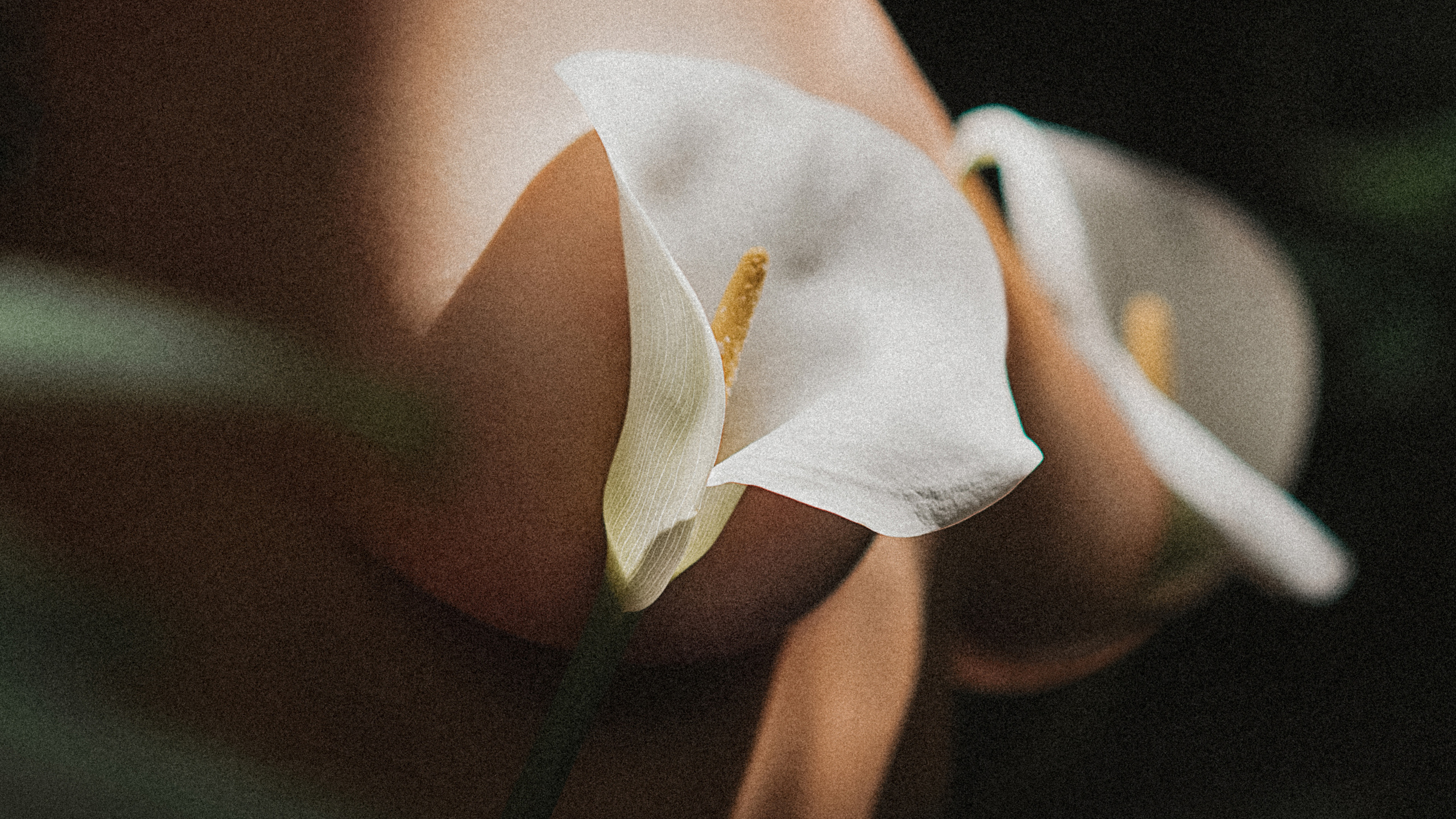 Фотограф Ніна Тарашкевич | Київ | Чуттєві Портрети, Лавсторі