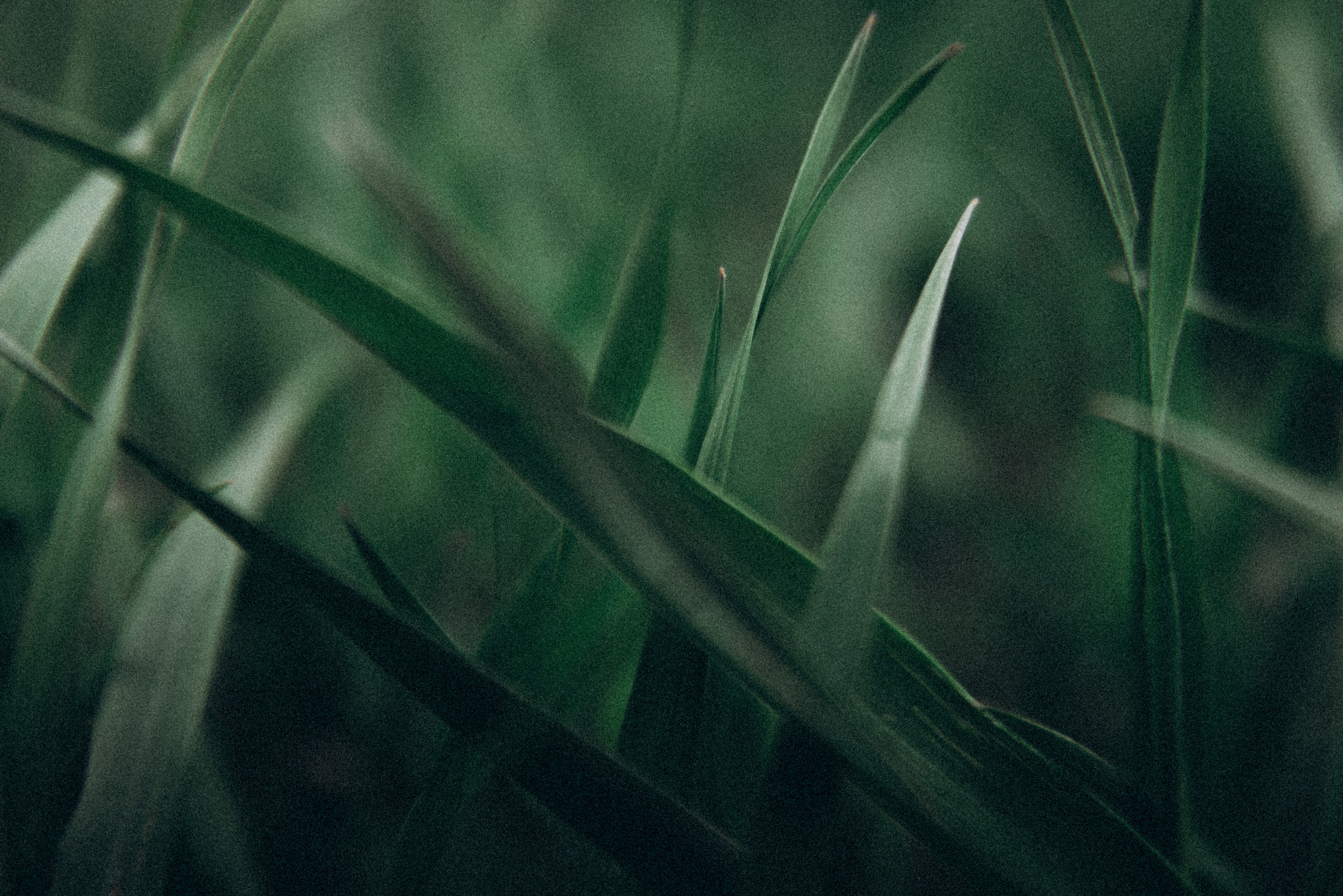 Арт зйомки | Art Photoshoot. Фотограф Ніна Тарашкевич | Київ | Чуттєві Портрети, Лавсторі