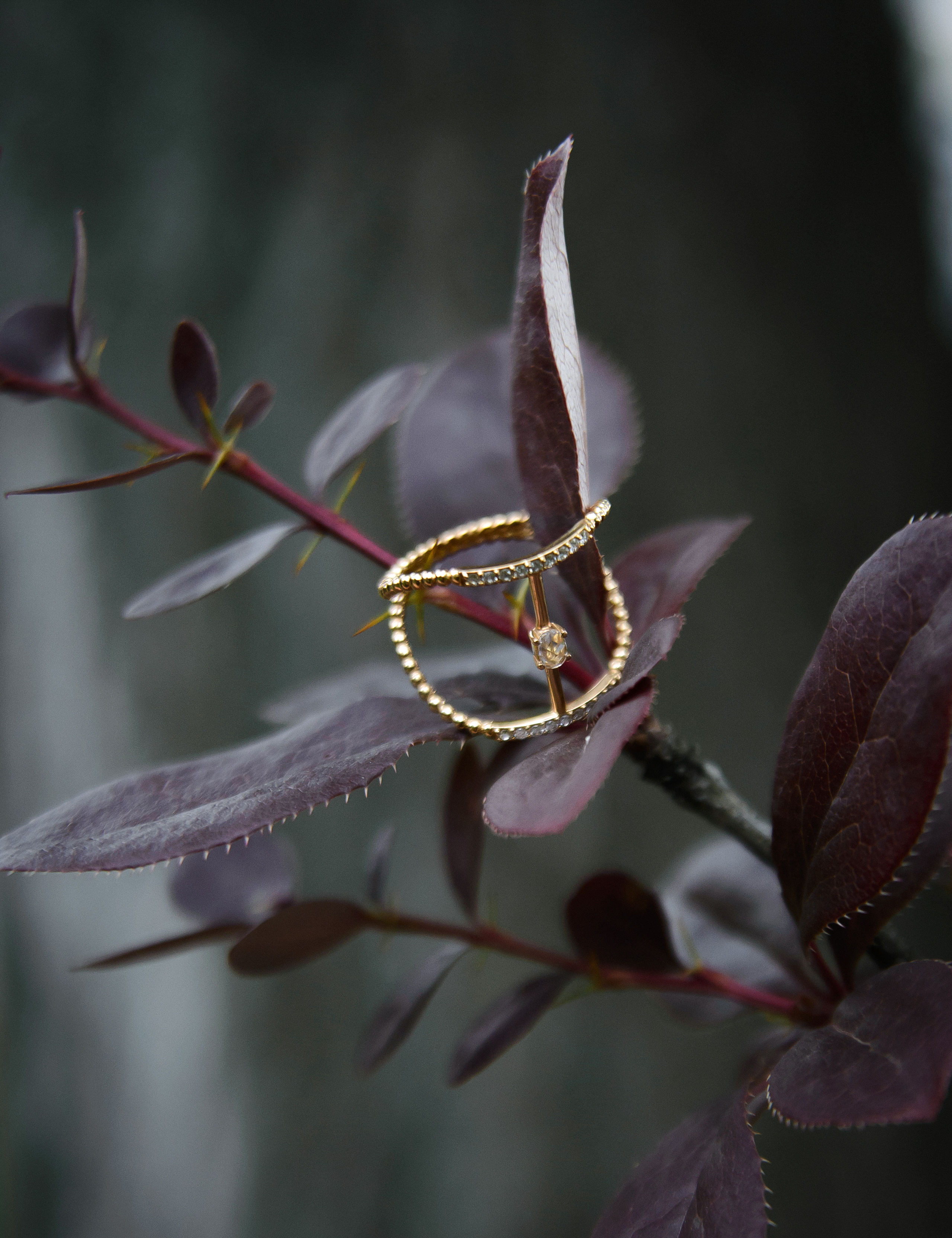 Ювелірні віроби. Фотограф Ніна Тарашкевич | Київ | Чуттєві Портрети, Лавсторі