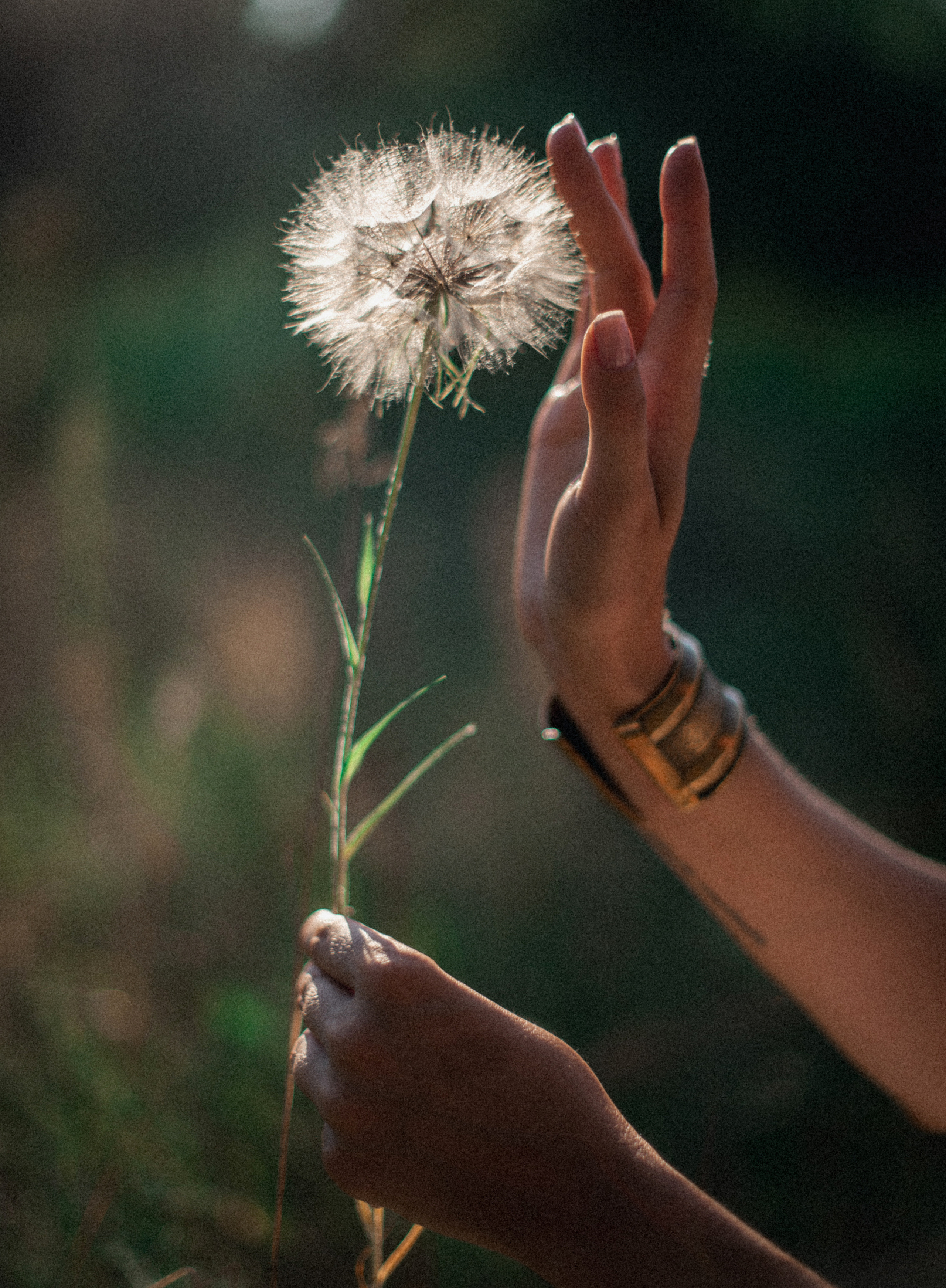 Арт зйомки | Art Photoshoot. Фотограф Ніна Тарашкевич | Київ | Чуттєві Портрети, Лавсторі