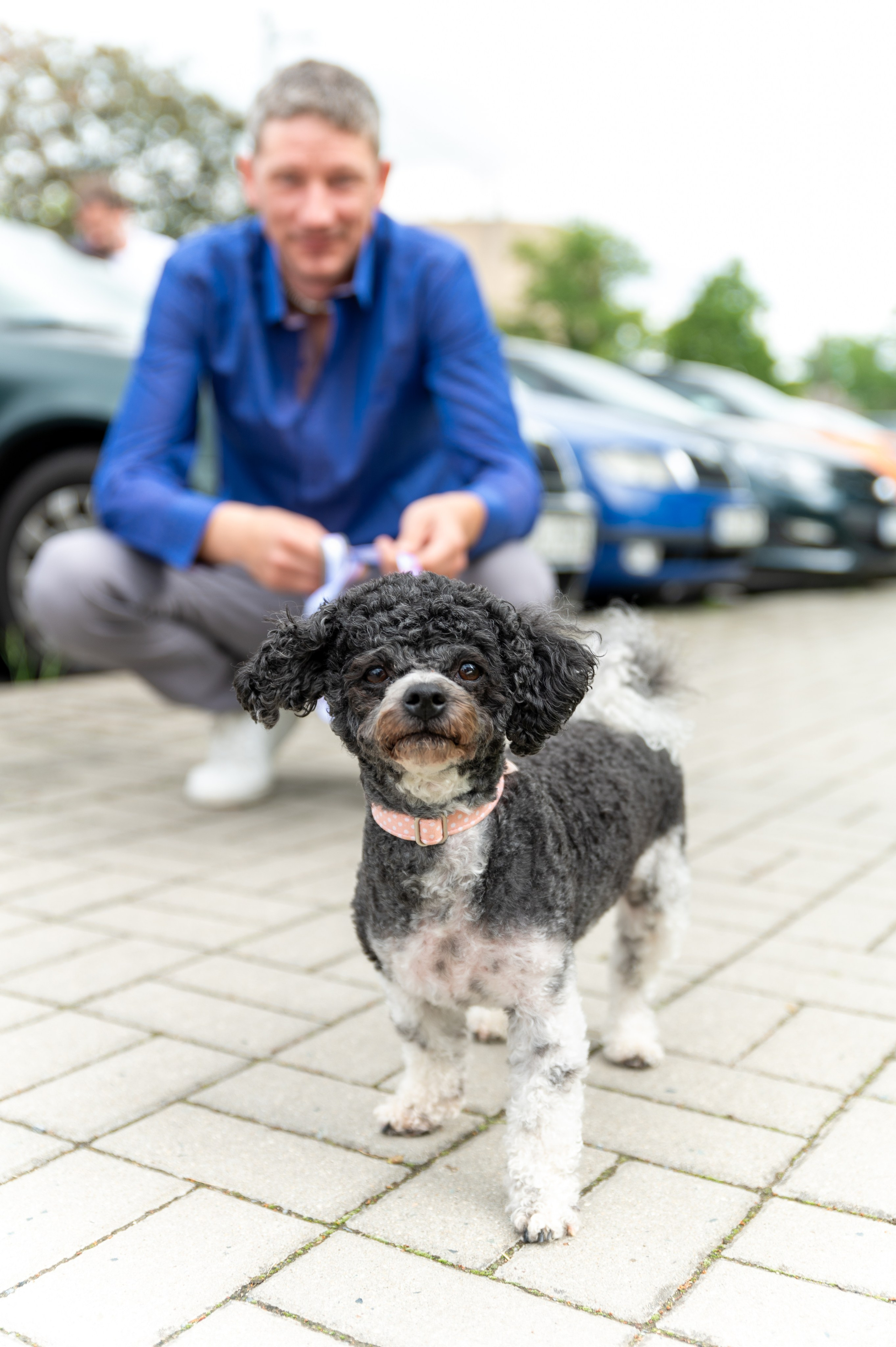 Сергій та Ева. Family photographer