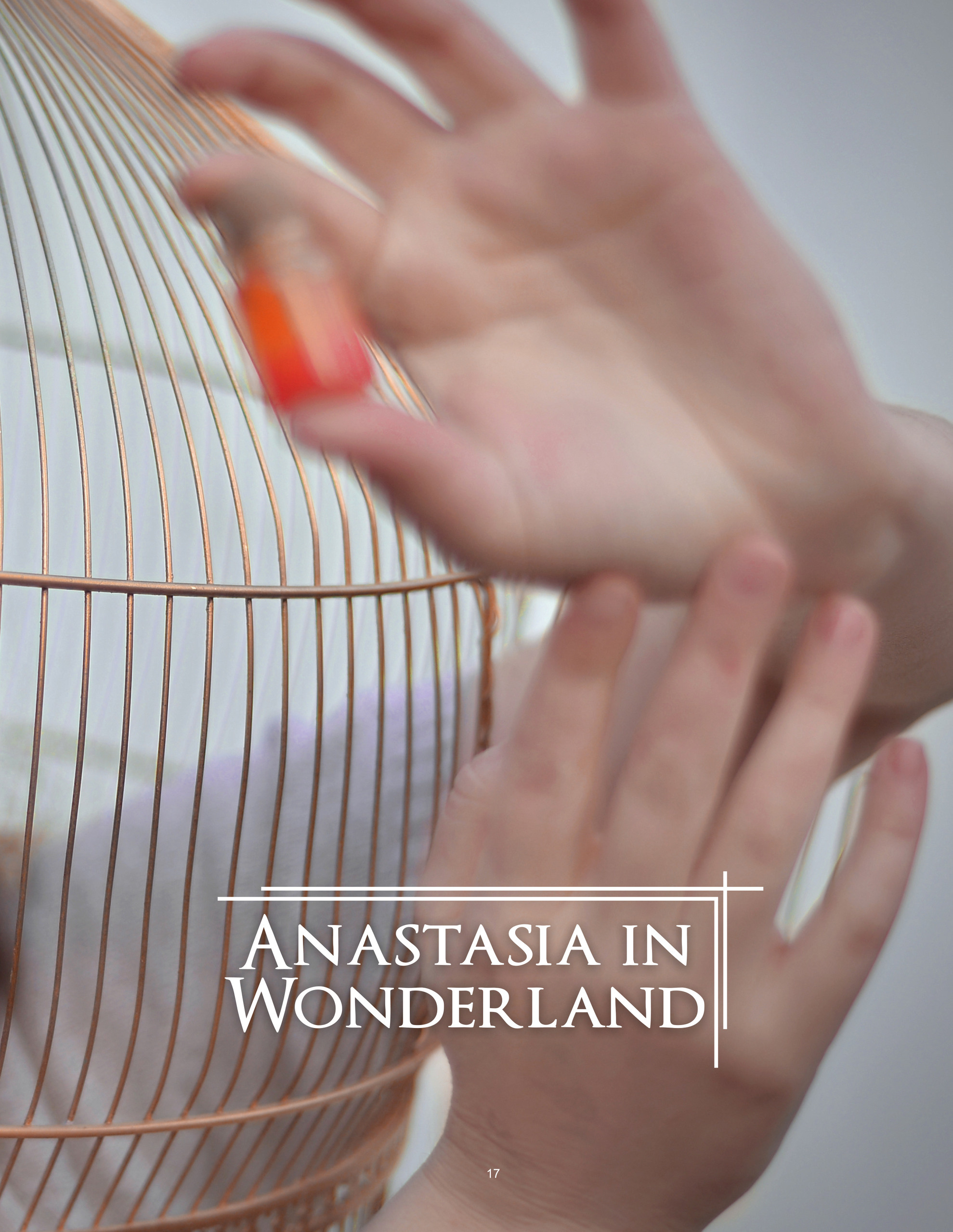 Публикации. Фотограф в Швеции