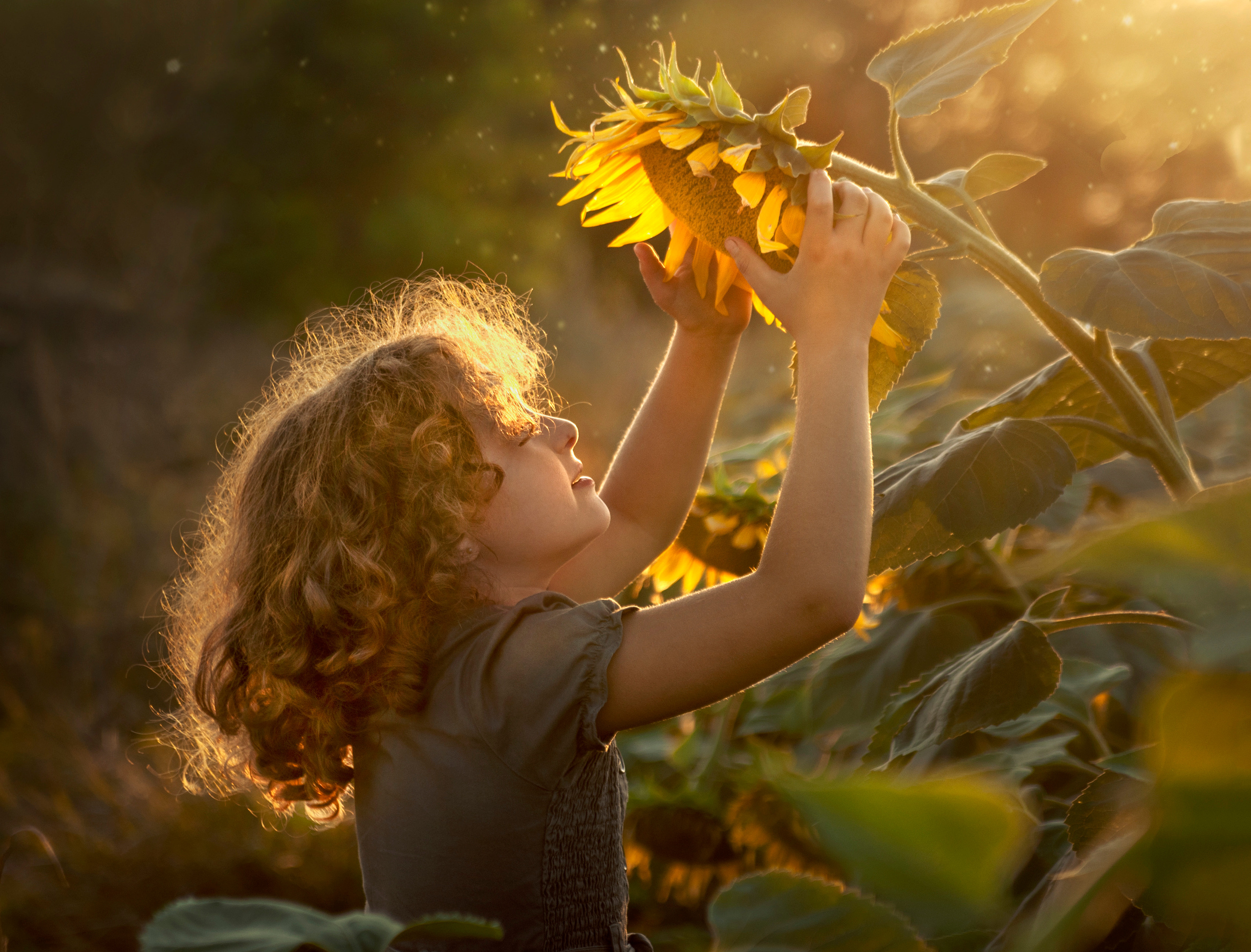 Photographer in Sweden