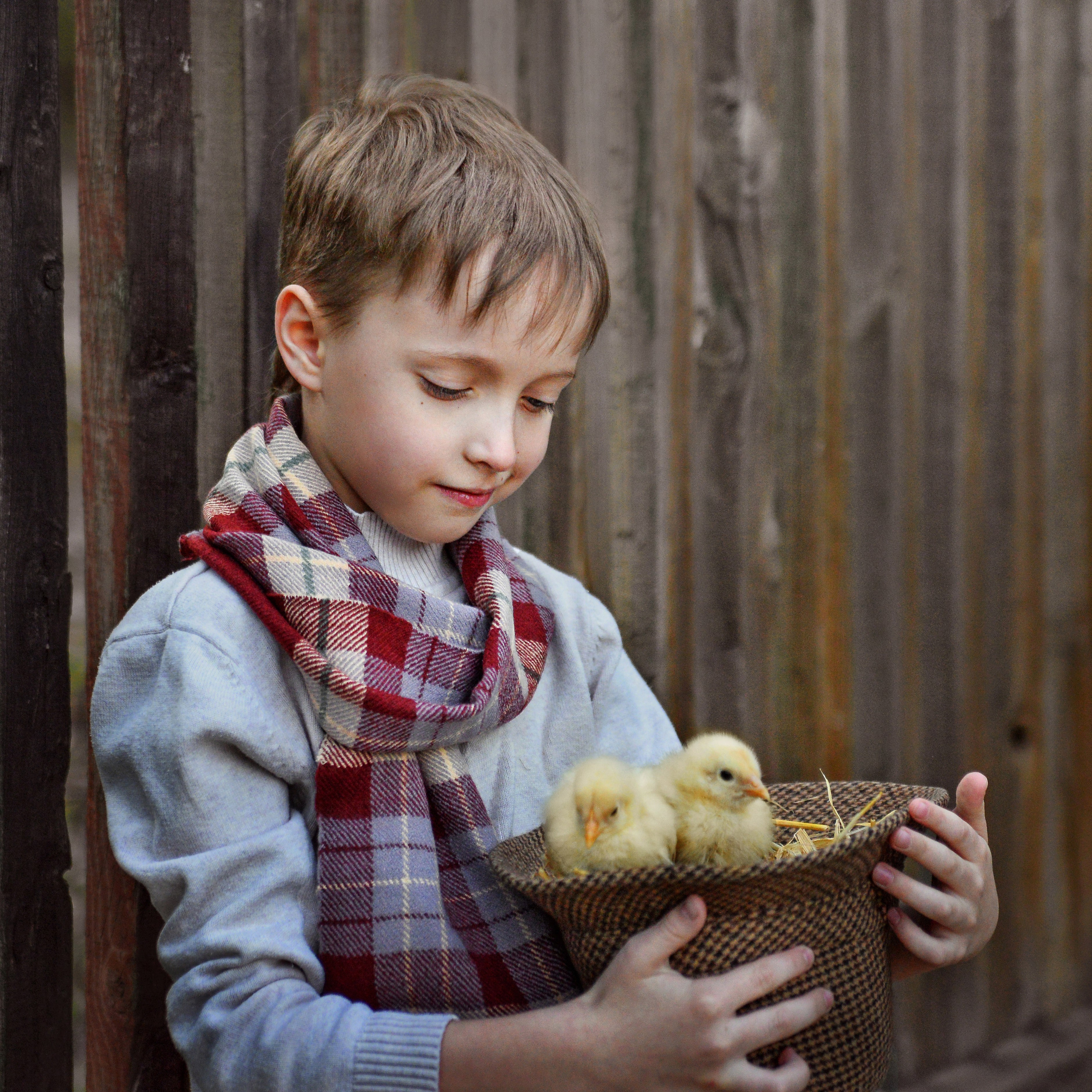 Photographer in Sweden