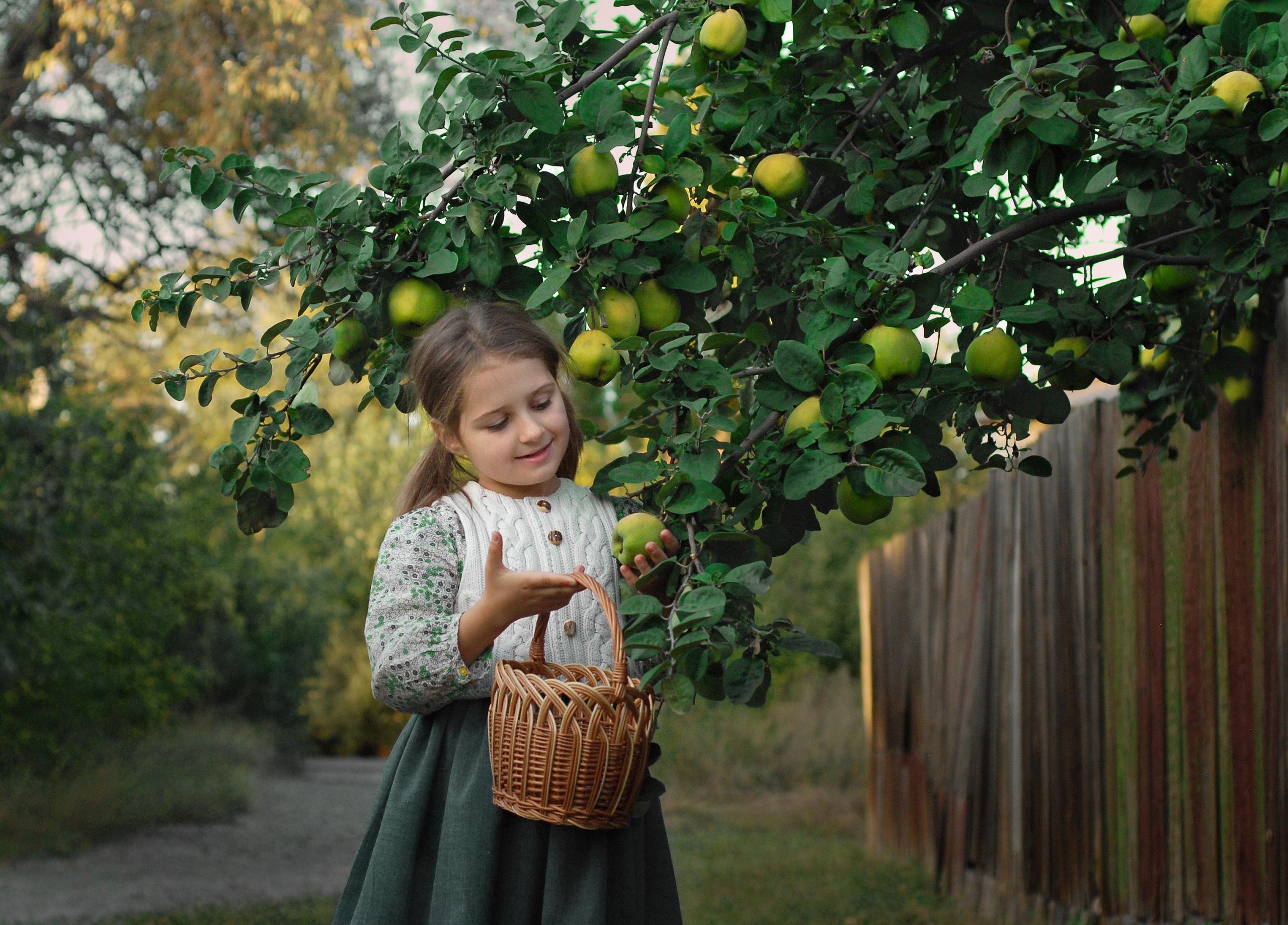 Photographer in Sweden