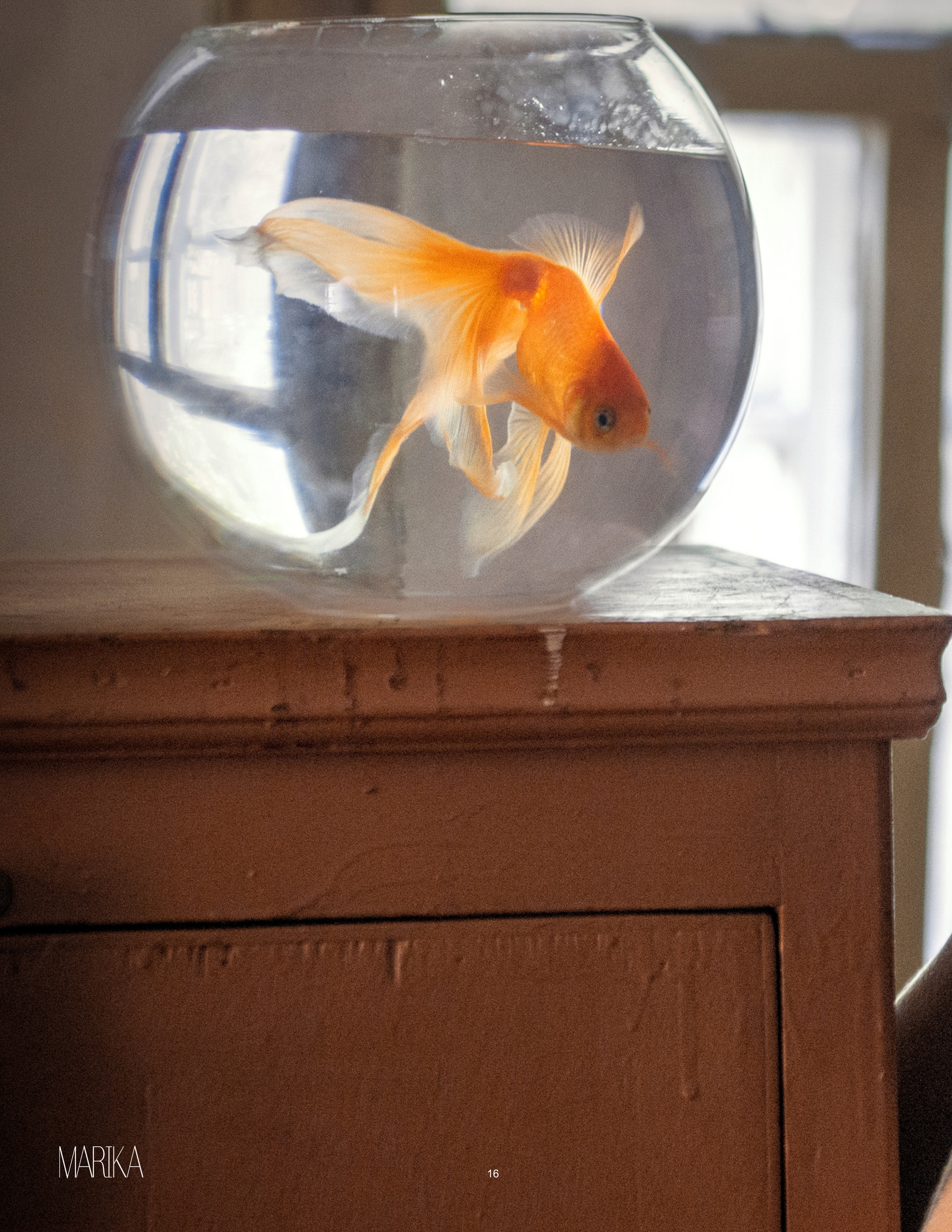 Публикации. Фотограф в Швеции