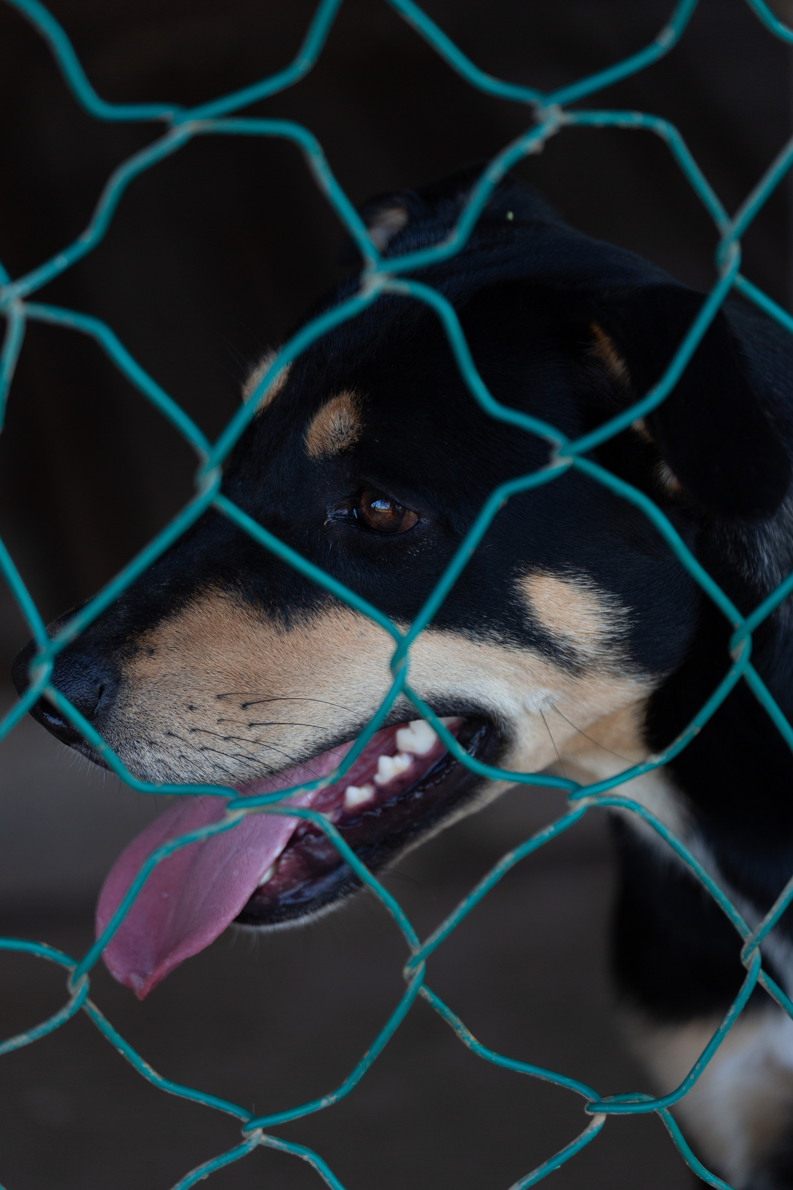 Bella Vida. Photos by Vasilisa Popil