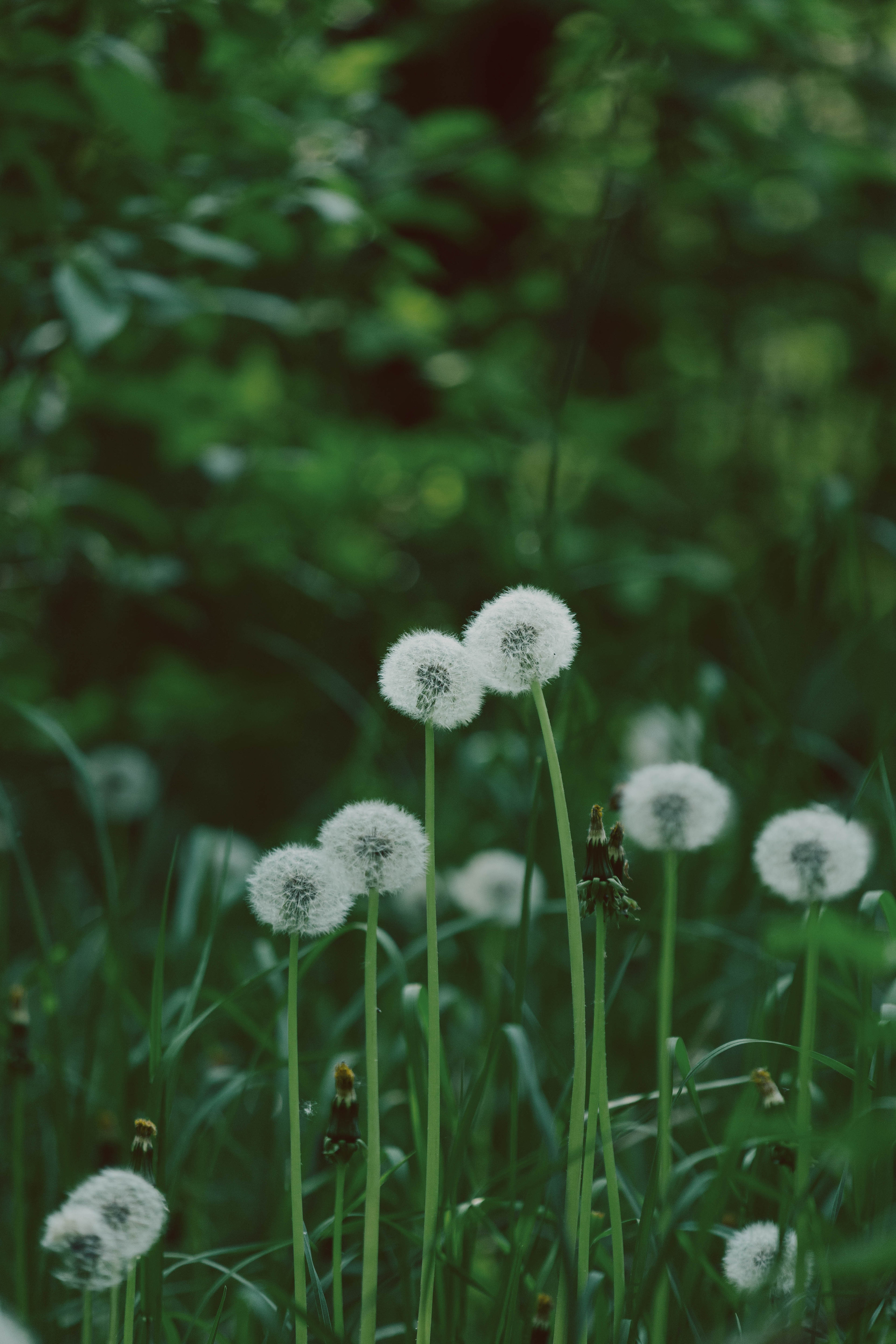 Moods. Photos by Vasilisa Popil