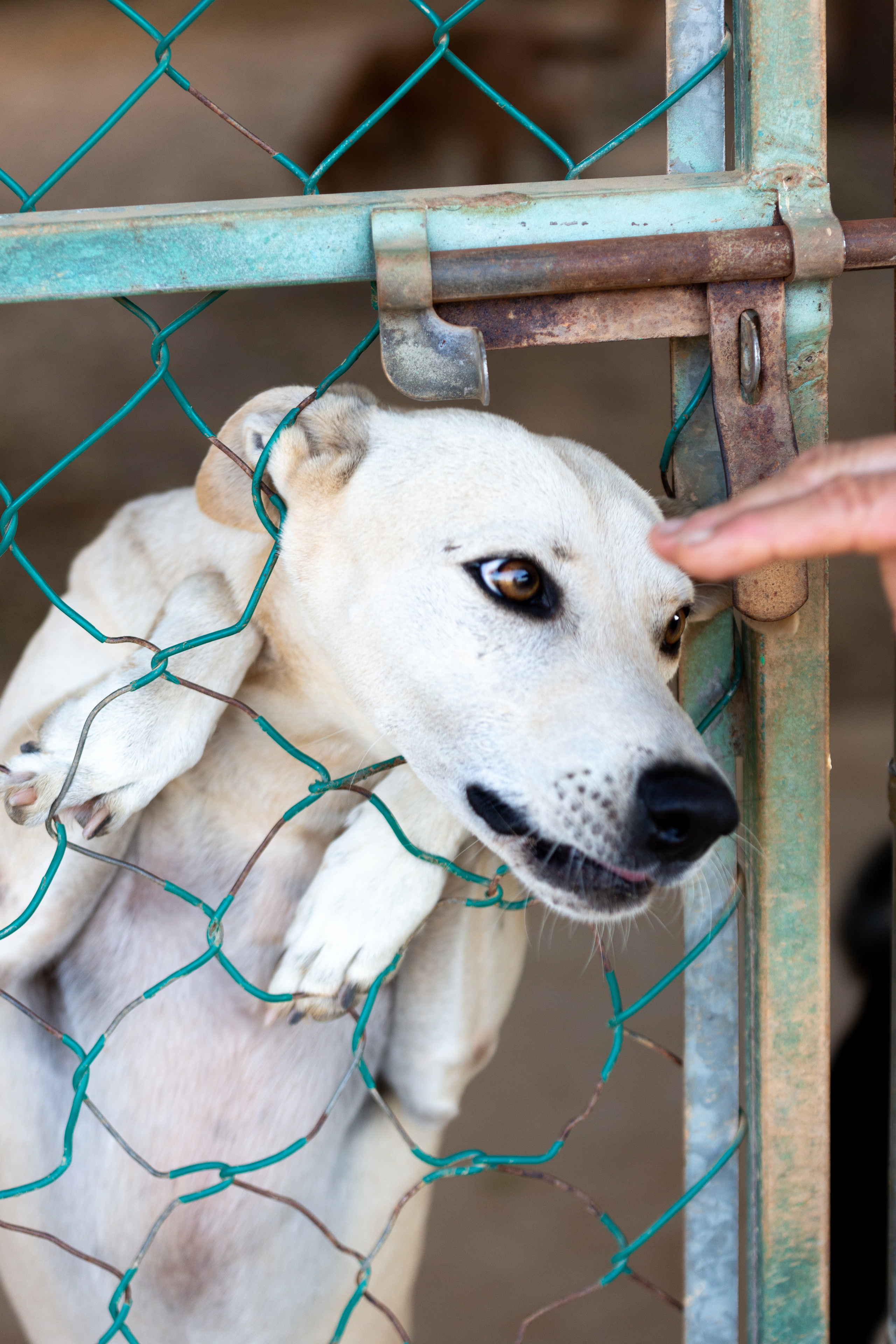 Bella Vida. Photos by Vasilisa Popil
