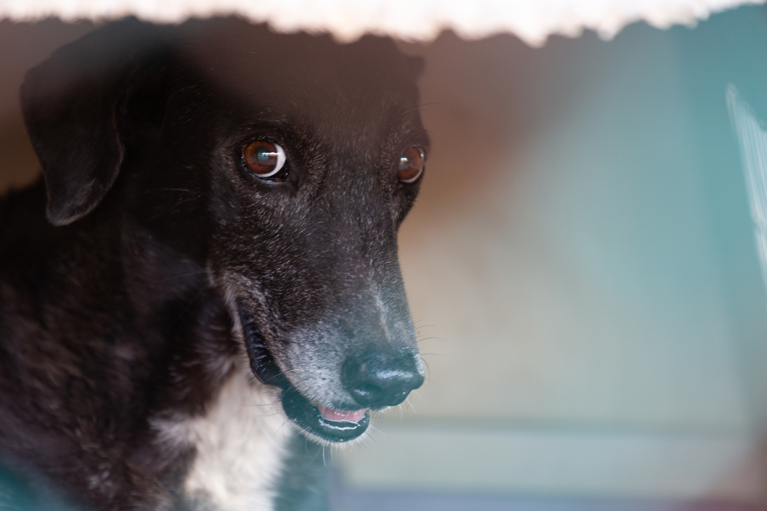 Bella Vida. Photos by Vasilisa Popil